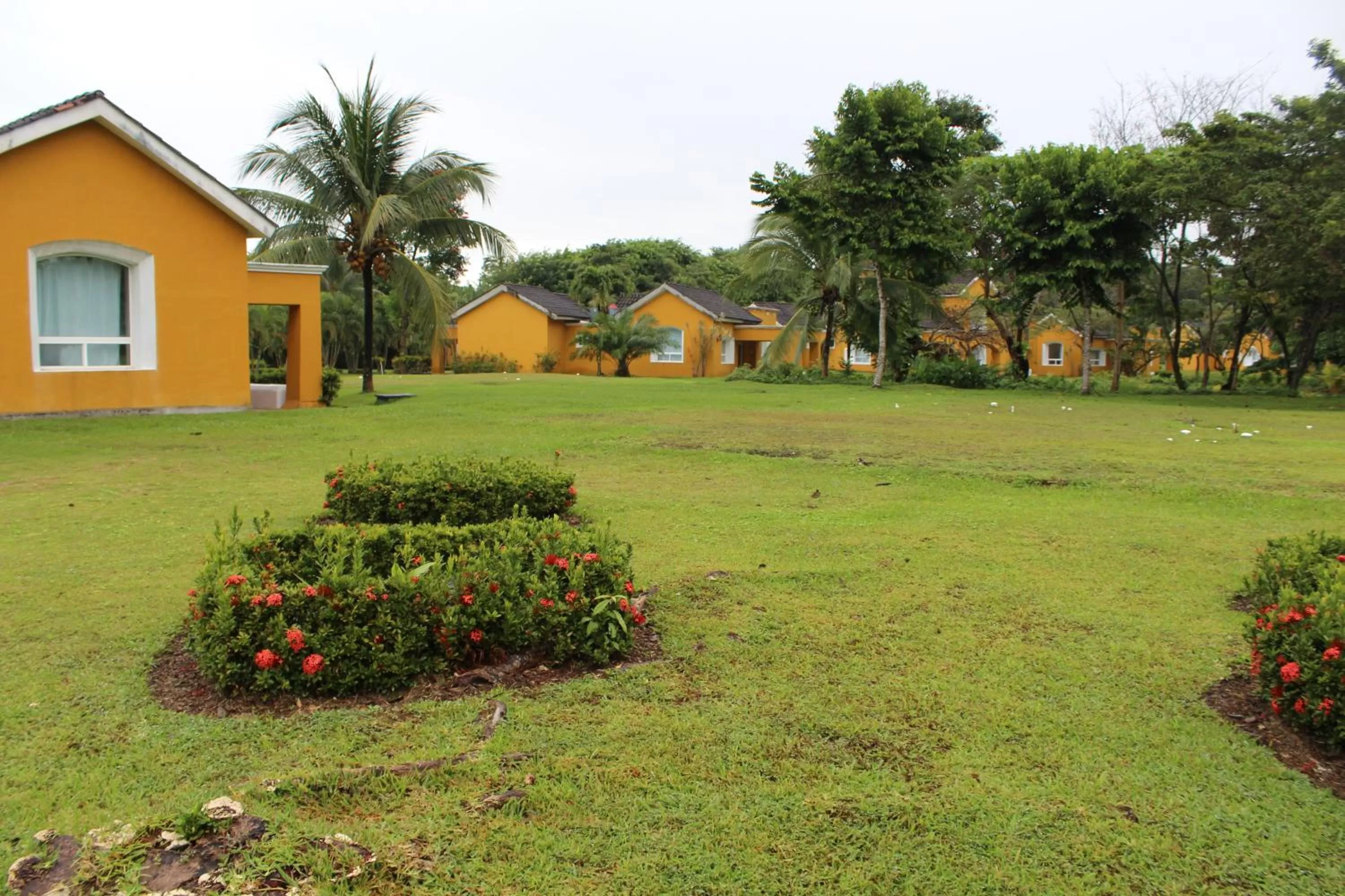 Bird's eye view in Amatique Bay Hotel