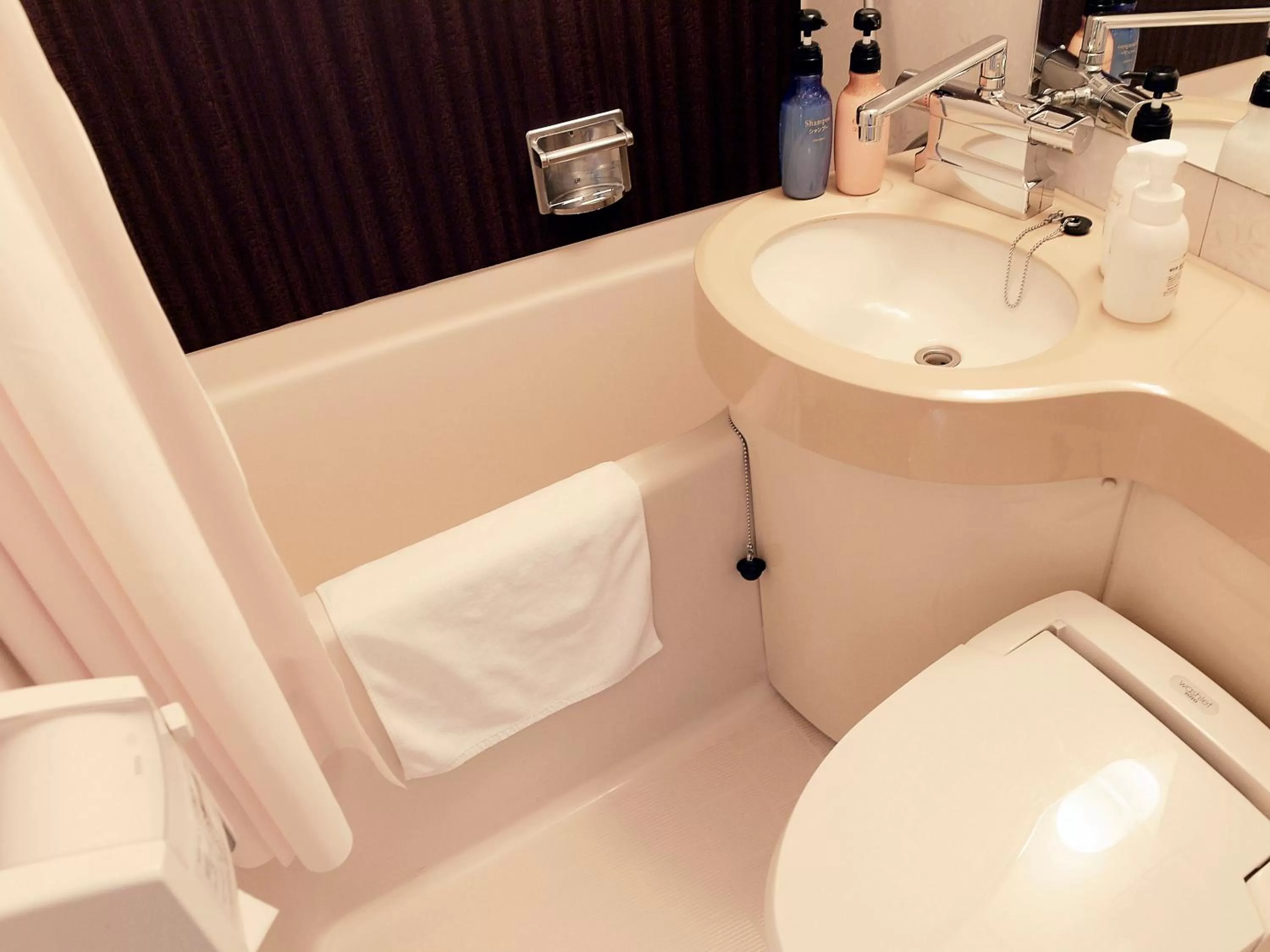 Bathroom in the b suidobashi