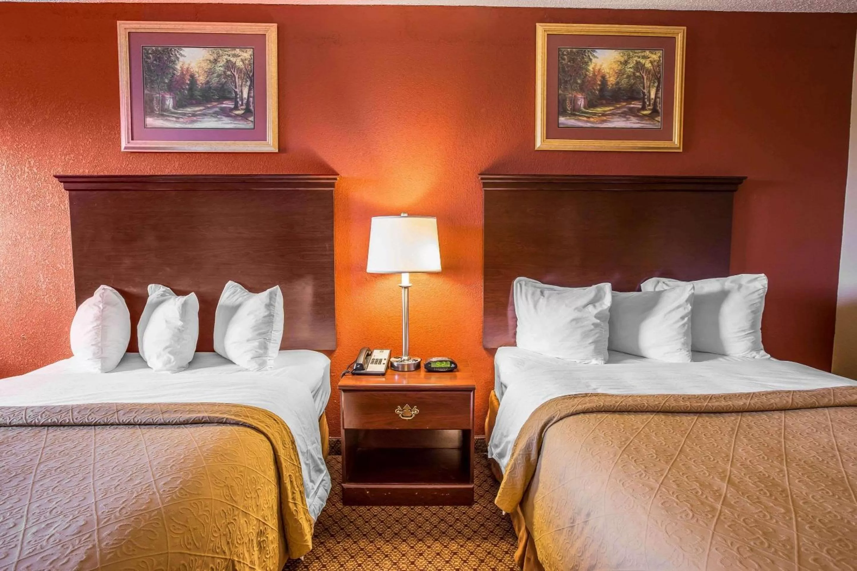 Photo of the whole room, Bed in Quality Inn Gaffney I-85