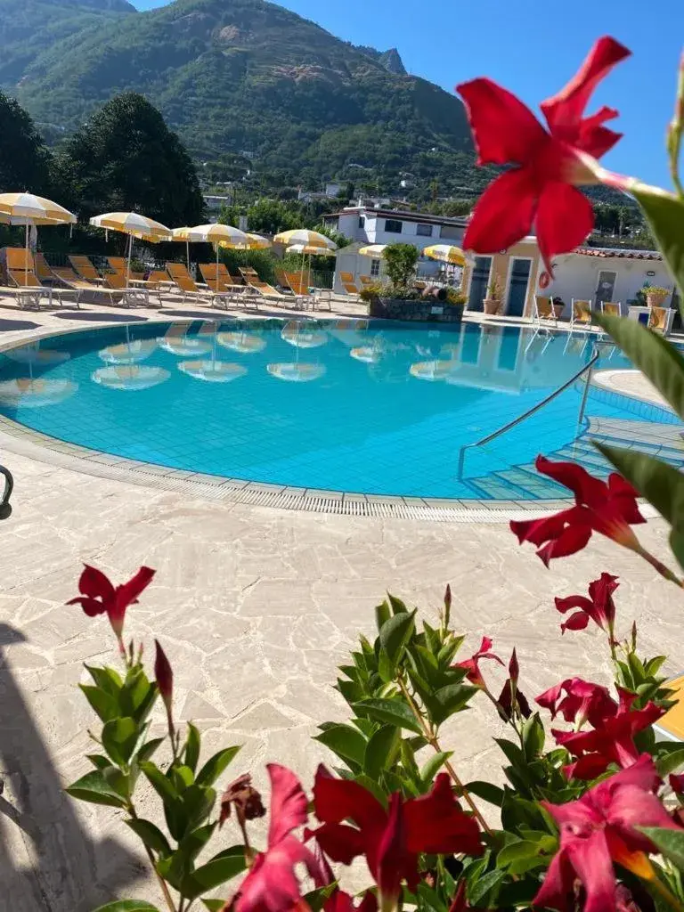 Swimming Pool in Hotel Parco Delle Agavi