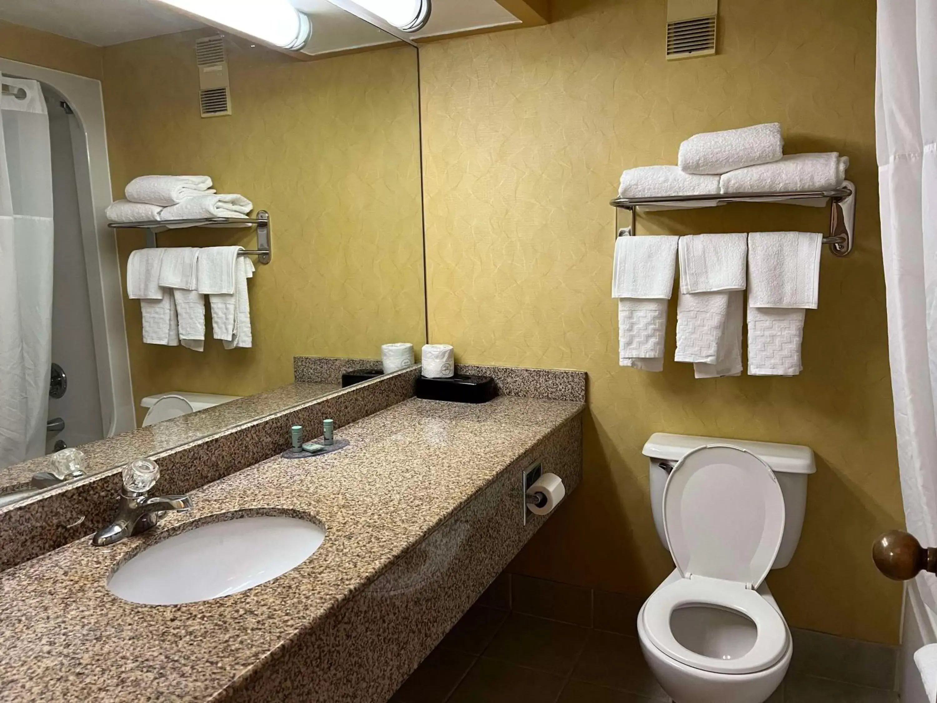 Bathroom in SureStay Plus Hotel by Best Western Hopkinsville
