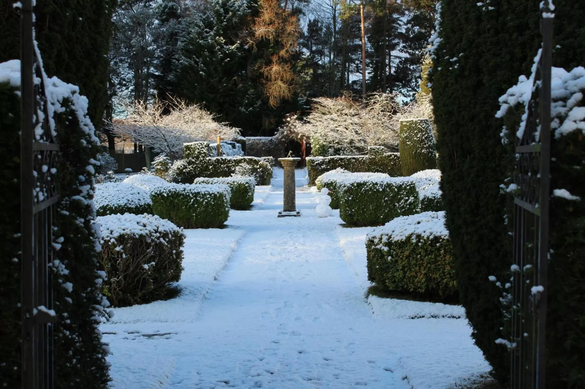 Natural landscape in Rufflets St Andrews