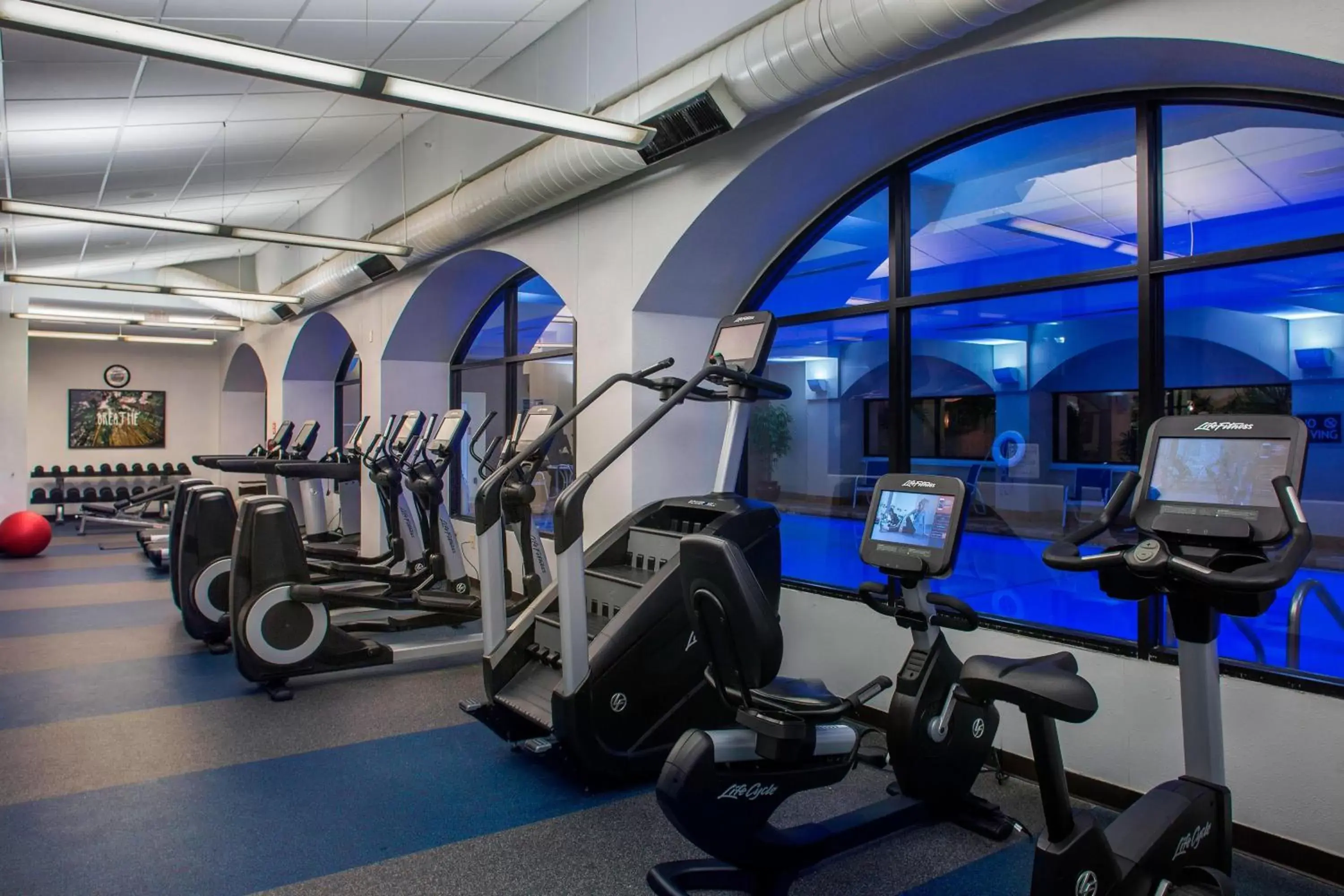 Fitness centre/facilities, Fitness Center/Facilities in Four Points by Sheraton Suites Tampa Airport Westshore