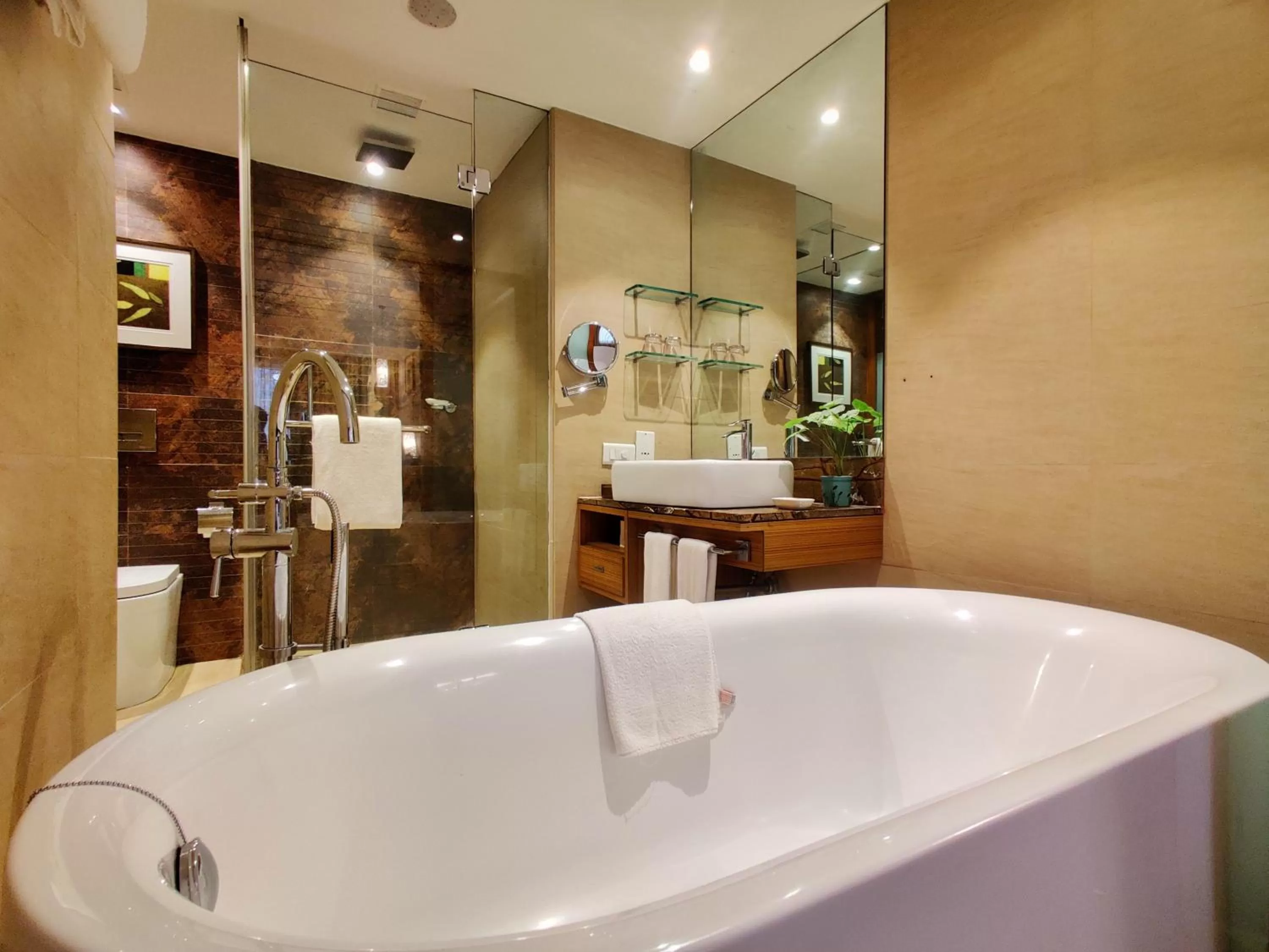 Bathroom in Fariyas Resort Lonavala