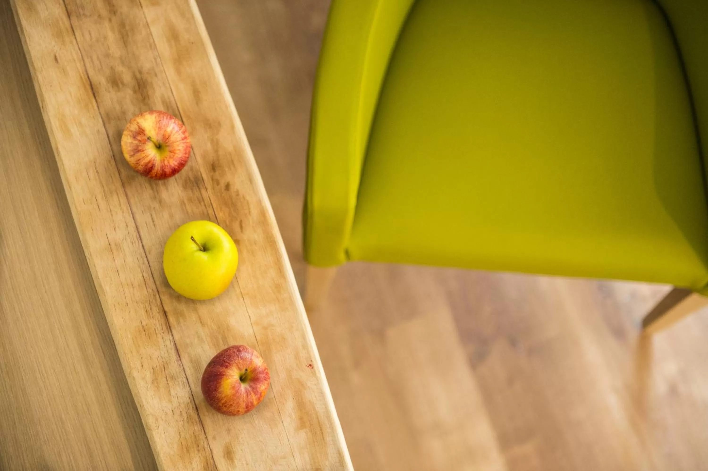 Decorative detail in Hotel CampingPark Steiner