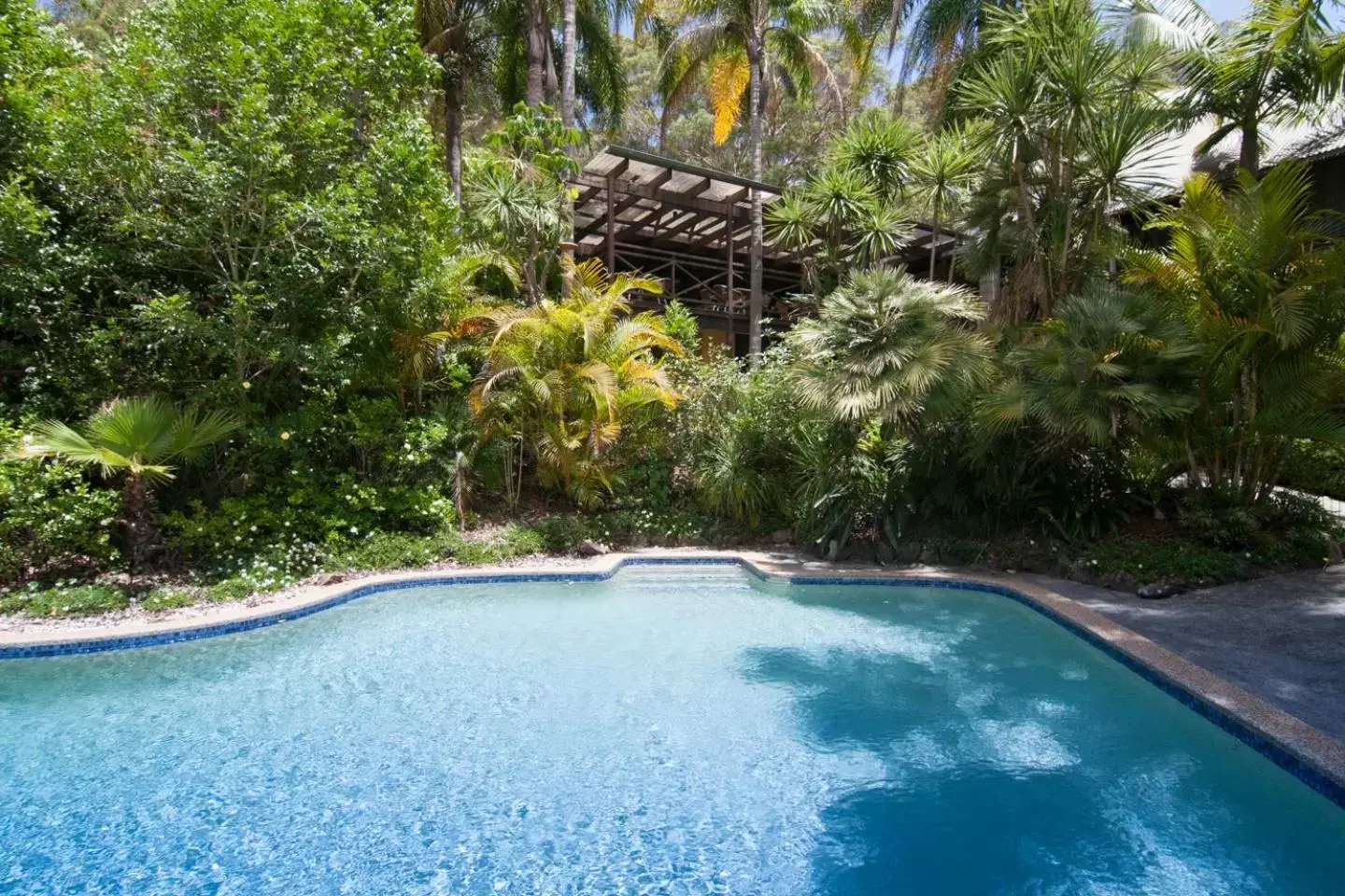 Swimming Pool in Avoca Beach Hotel