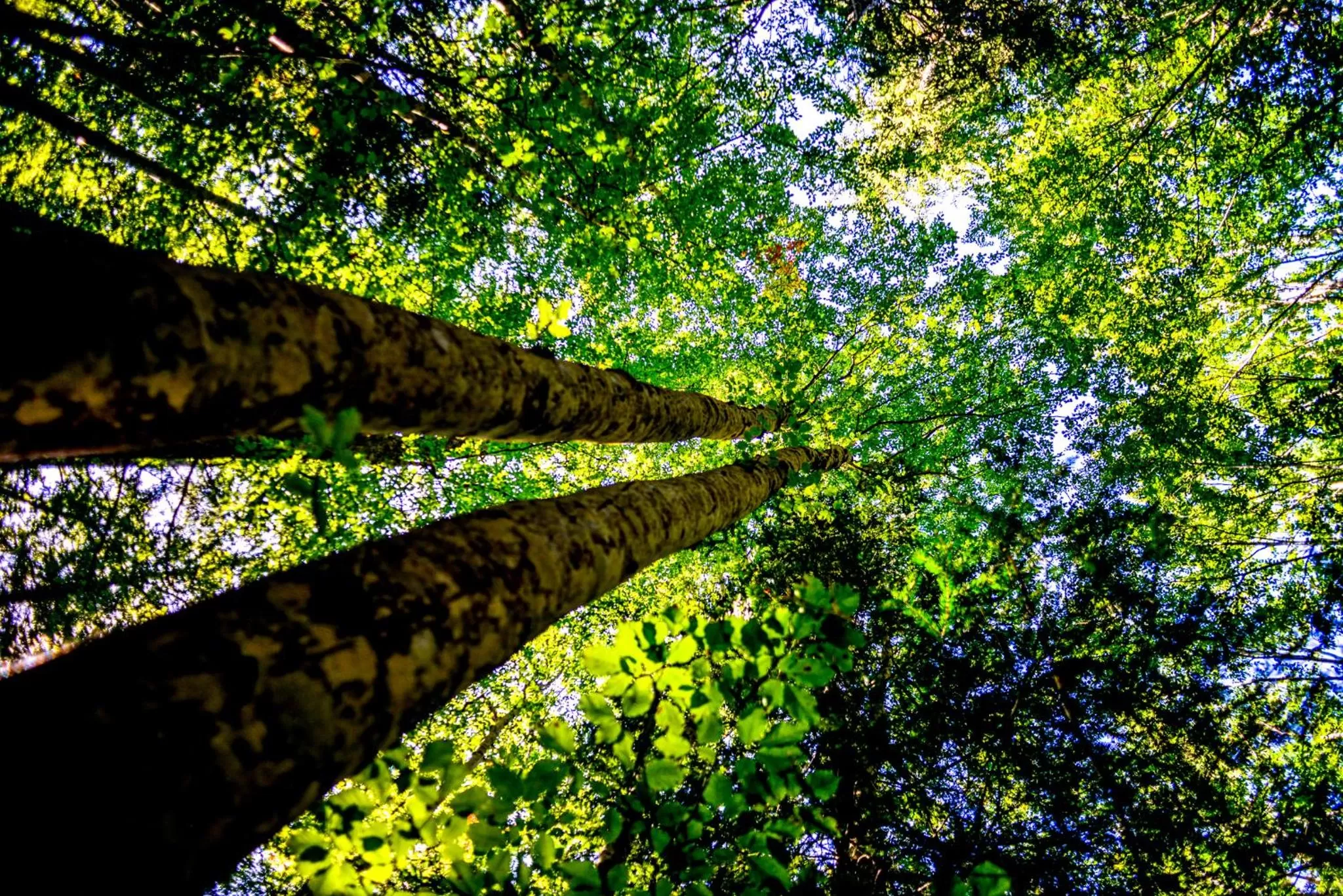 Day in Hotel du Golf