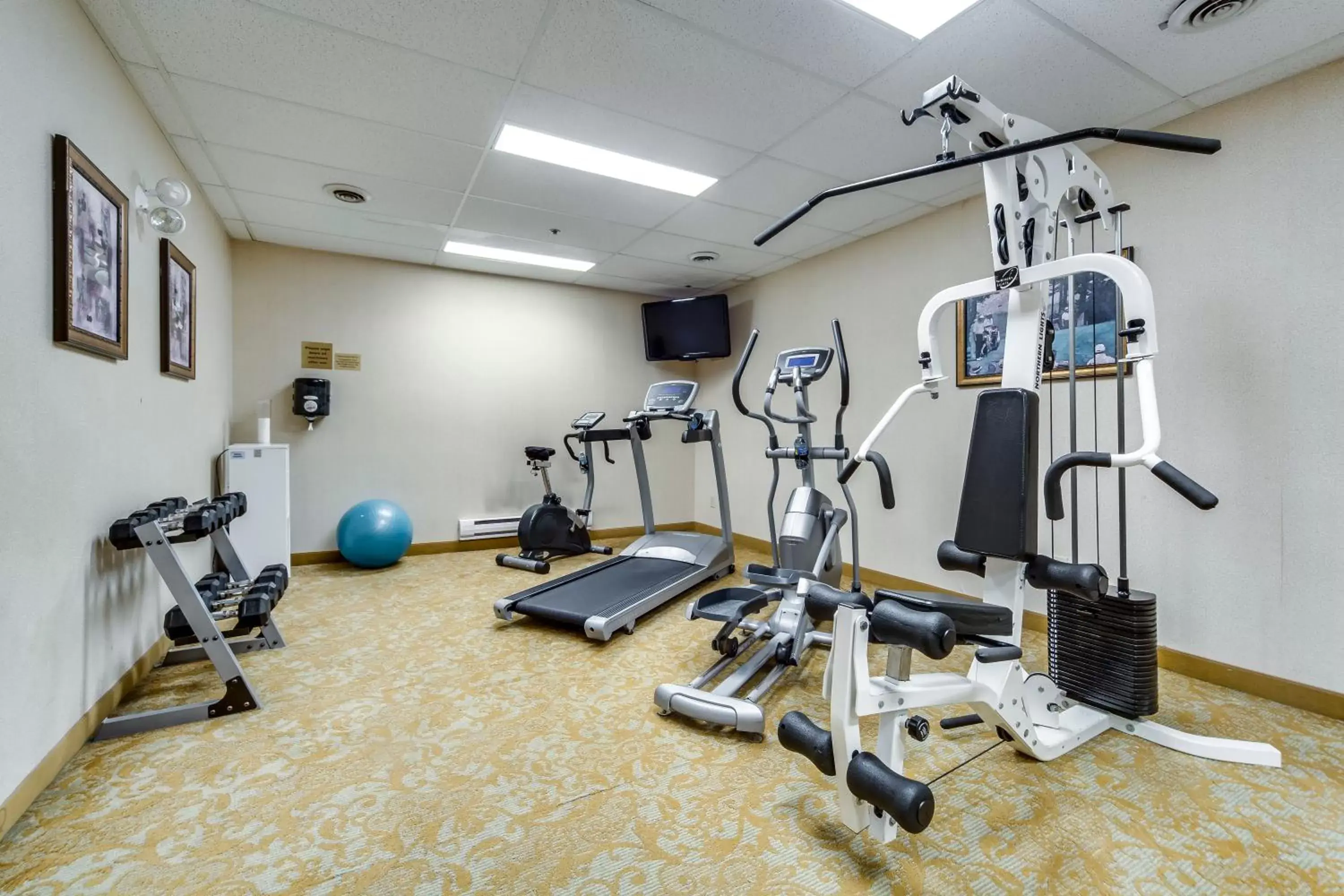 Fitness centre/facilities, Fitness Center/Facilities in Monte Carlo Inn Brampton