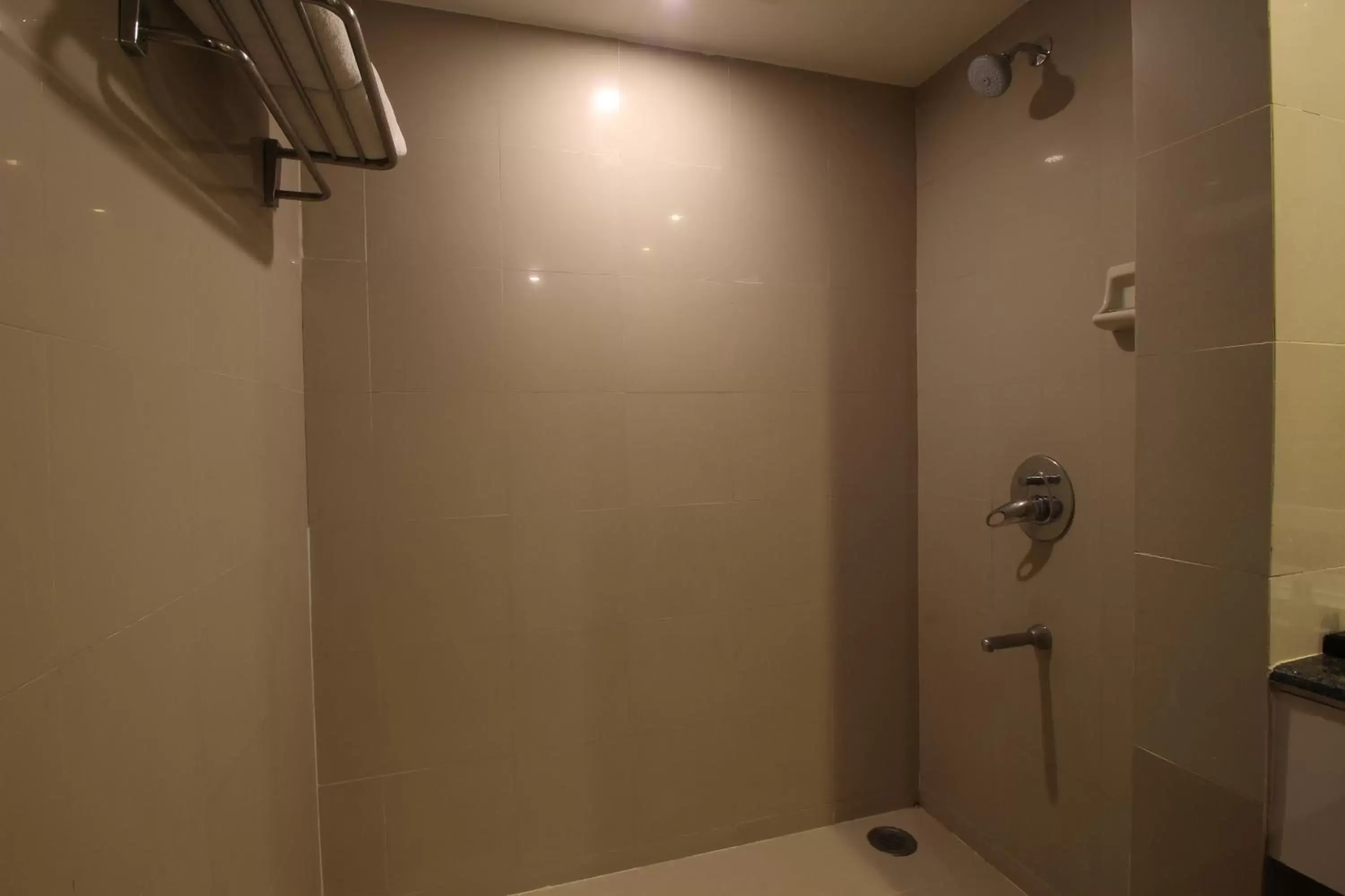 Bathroom in Hotel Minerva Grand Secunderabad