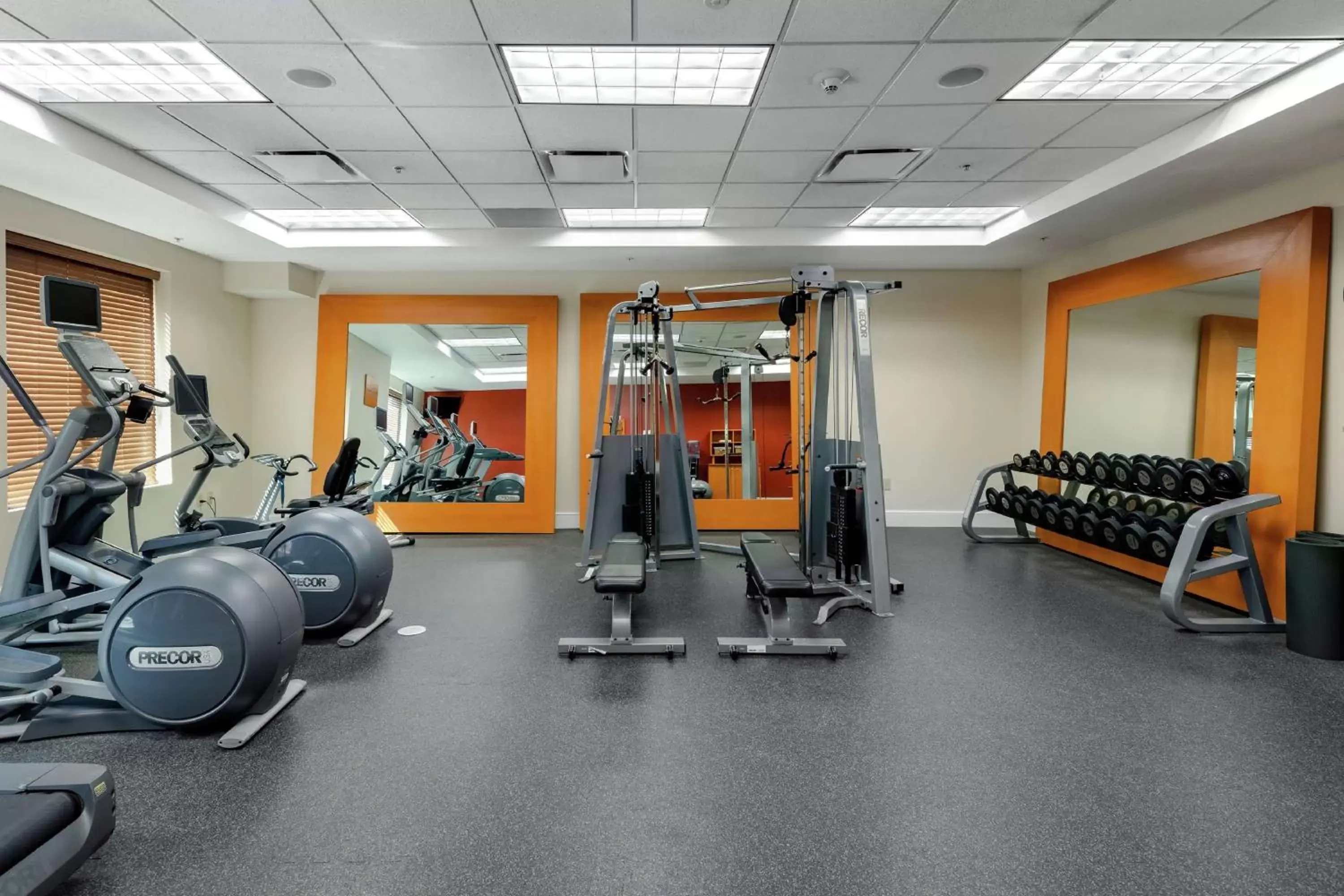 Fitness centre/facilities, Fitness Center/Facilities in Hilton Garden Inn Mobile West I-65 Airport Boulevard