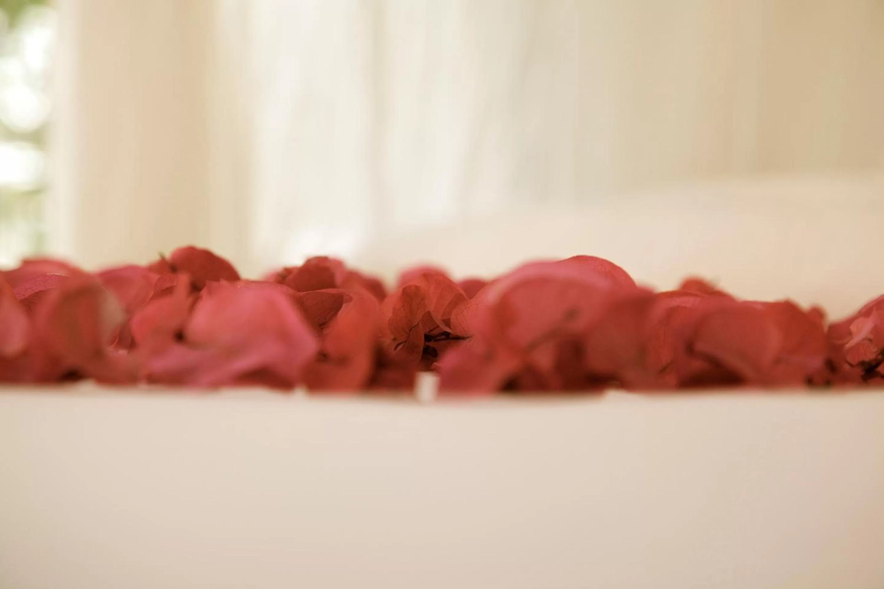 Decorative detail in Casa Violeta