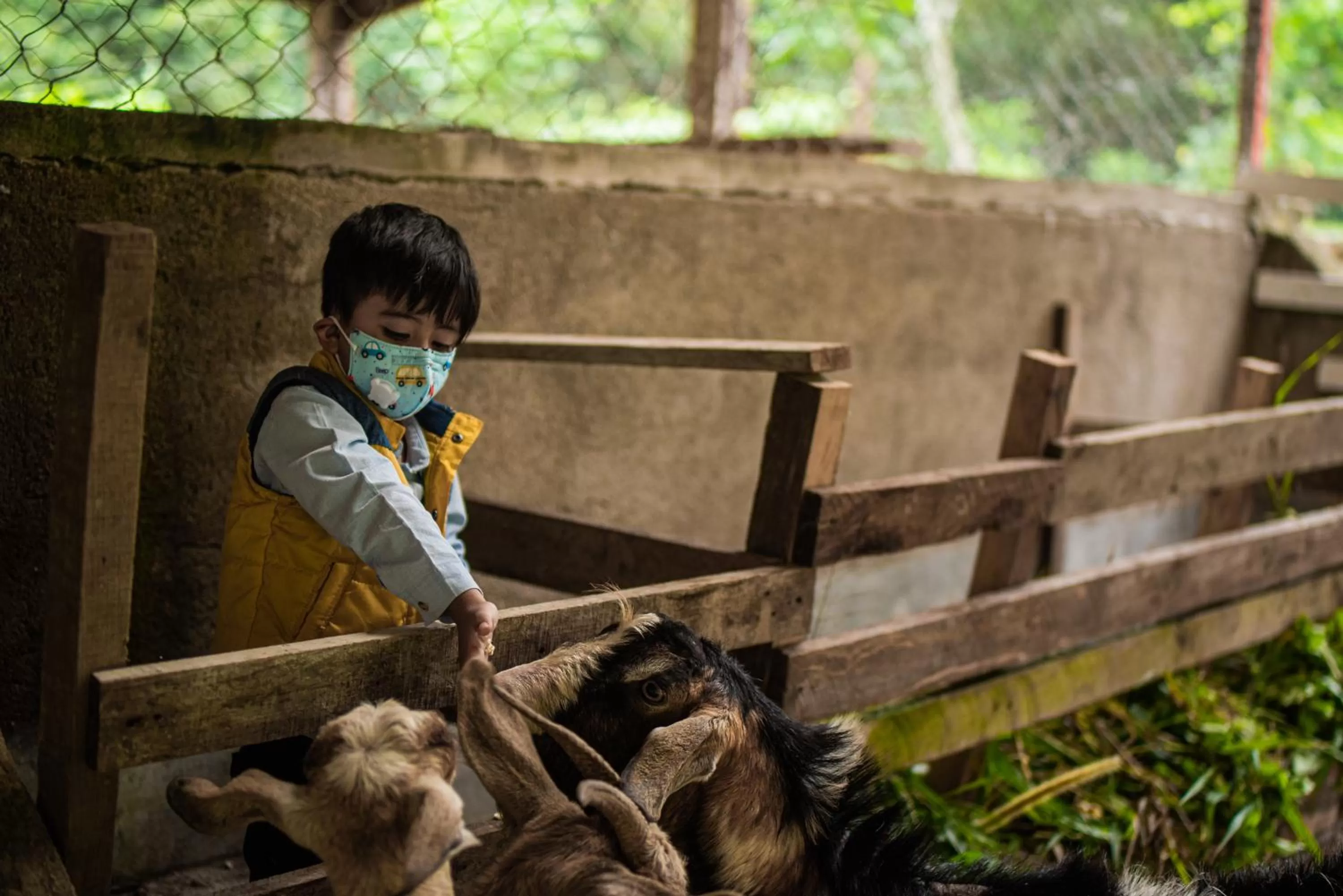 Pets in Hotel de Campo Villa de Ada
