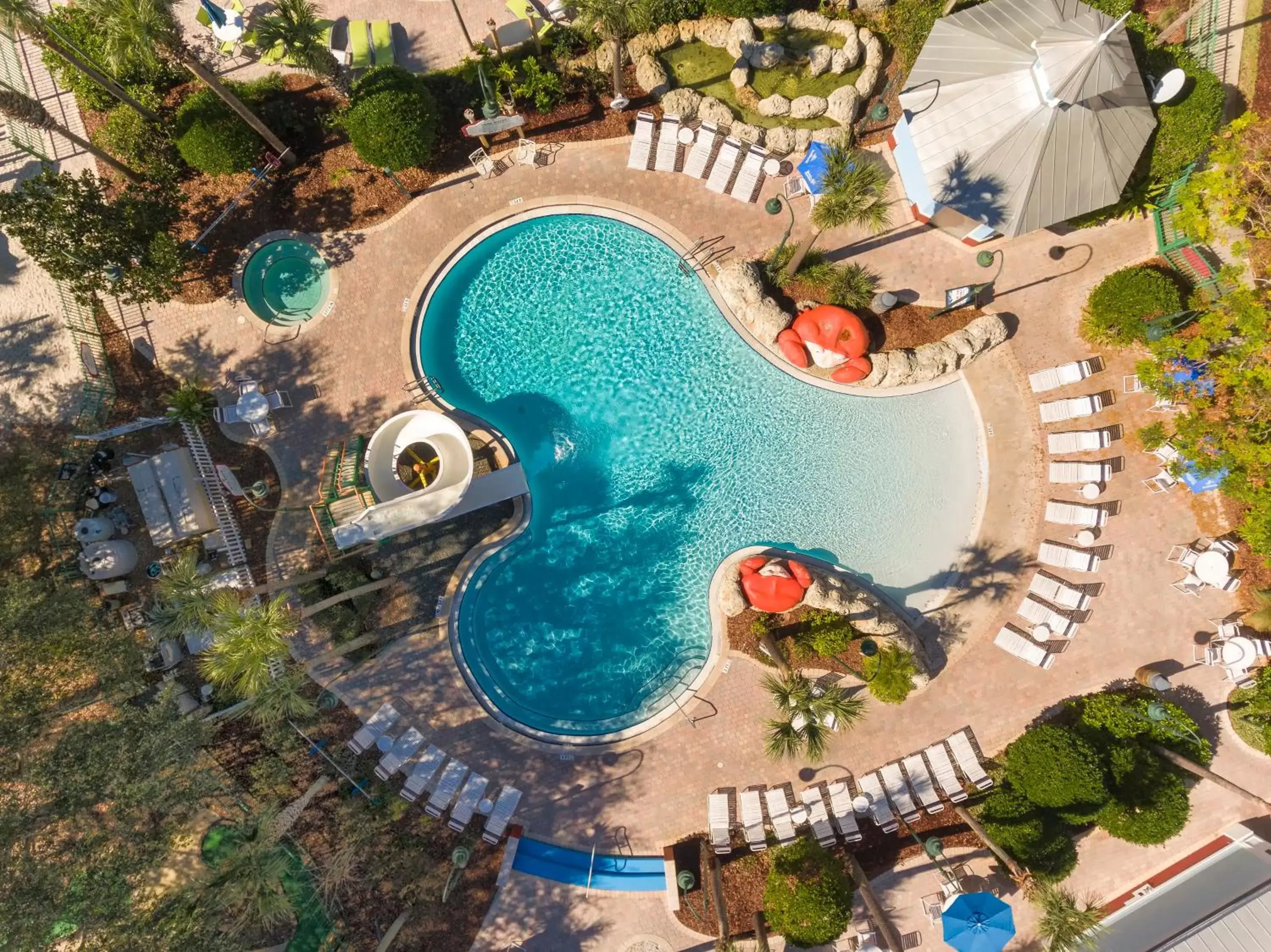 Swimming pool, Pool View in Holiday Inn Express & Suites S Lake Buena Vista, an IHG Hotel