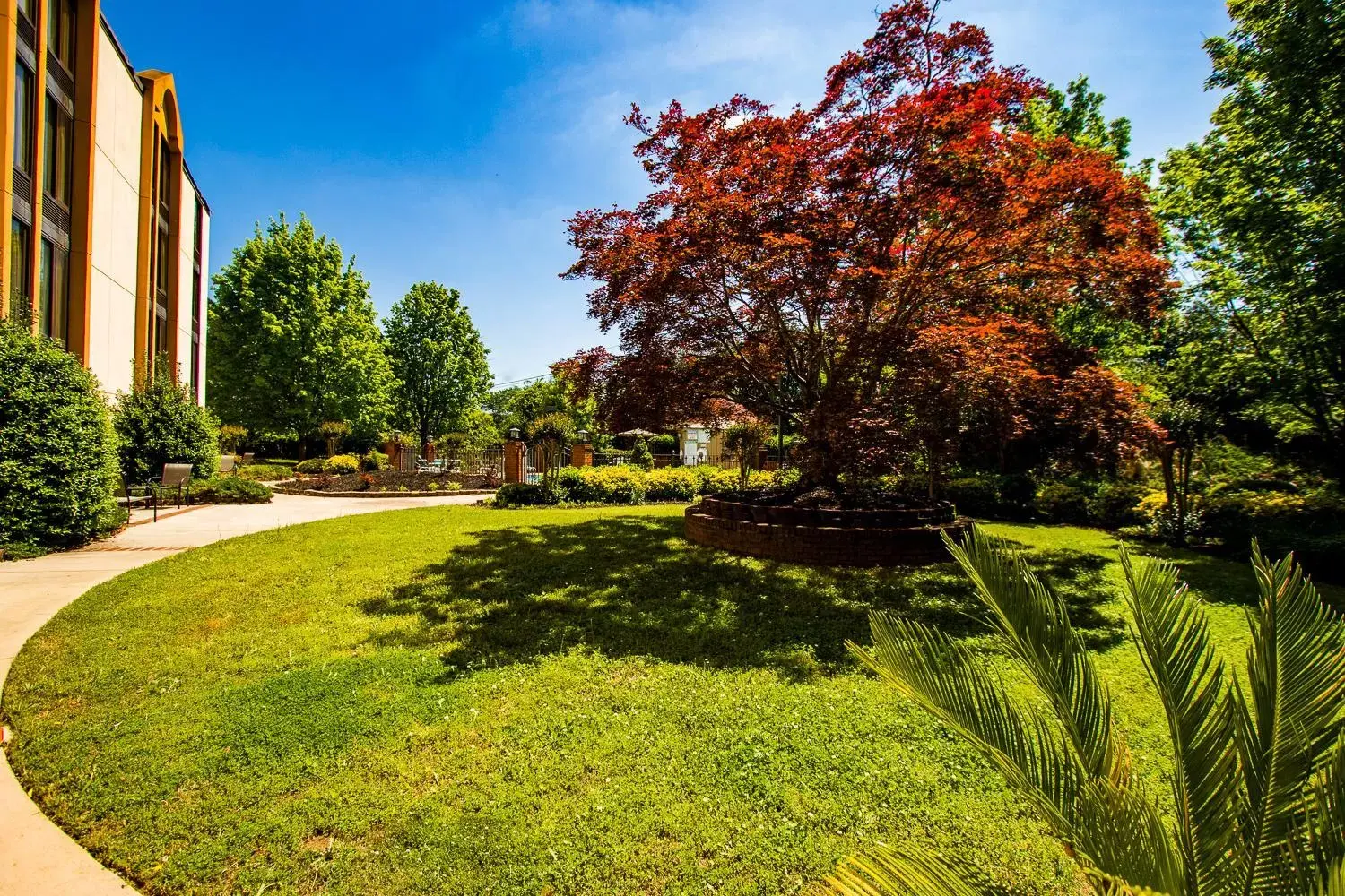 Patio, Garden in Ramada by Wyndham Gainesville