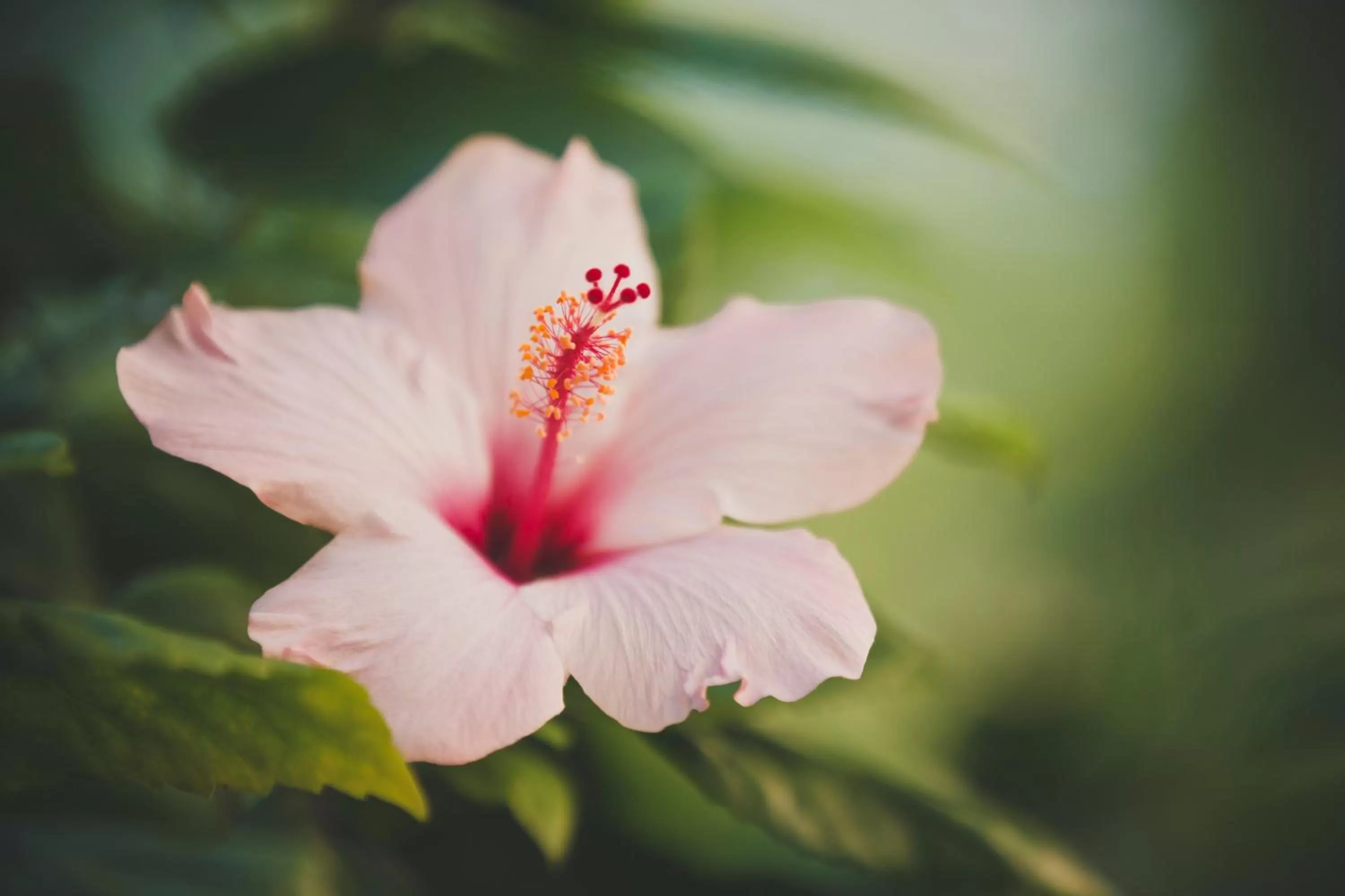 Other in Central Park Terme