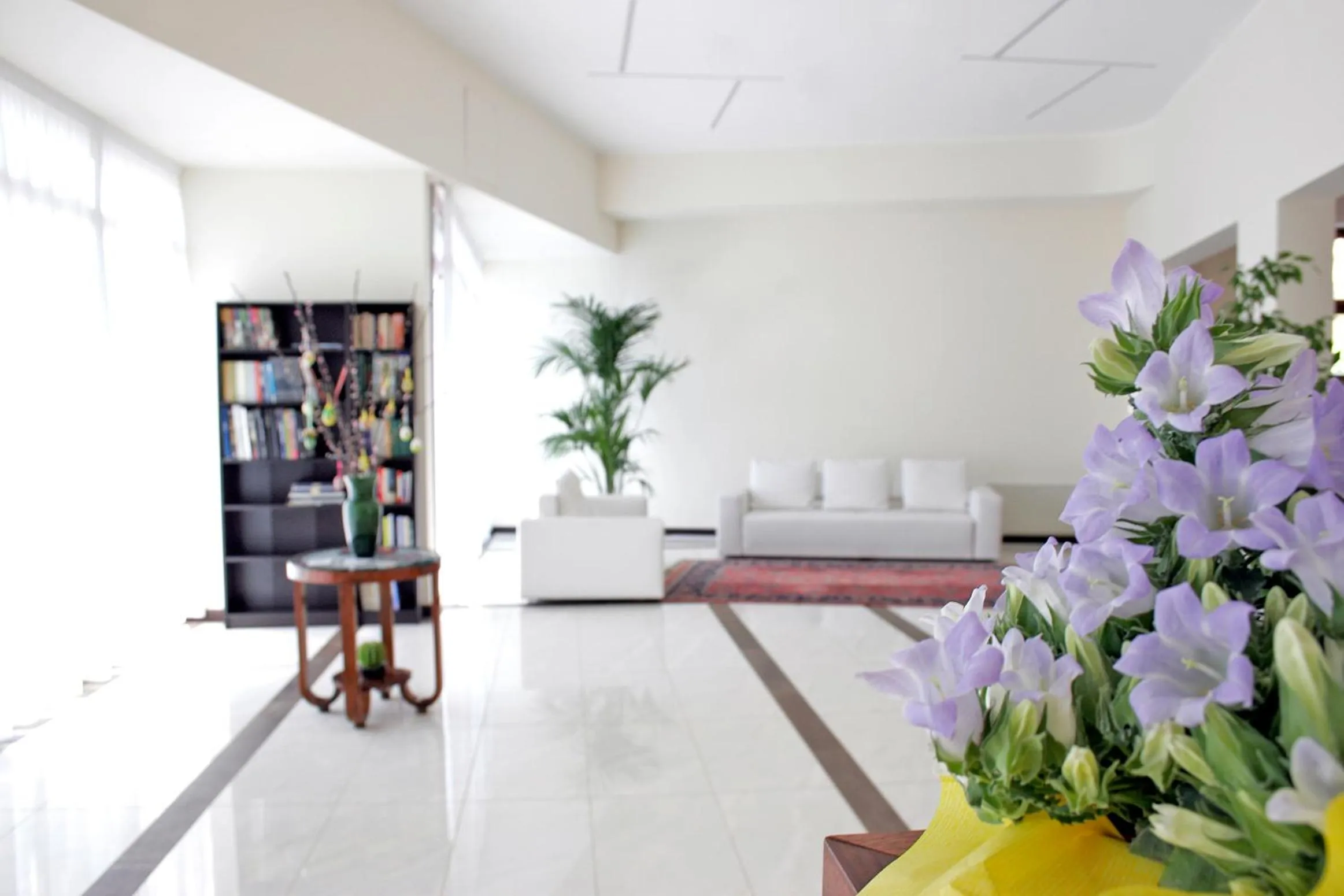 Library in Hotel Sorriso