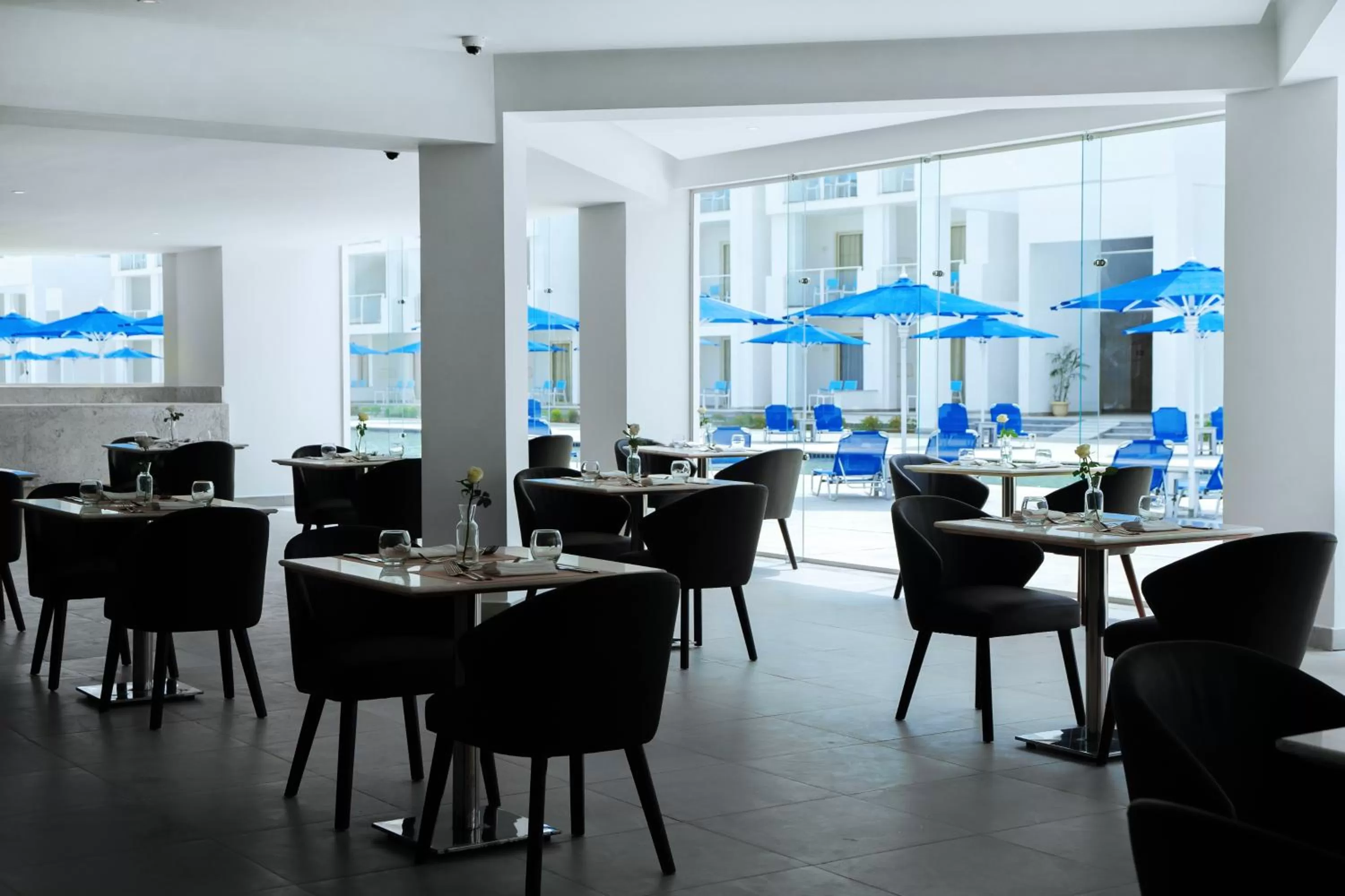 Restaurant/places to eat in Pickalbatros Blu Spa Resort - Adults Friendly 16 Years Plus- Ultra All-Inclusive