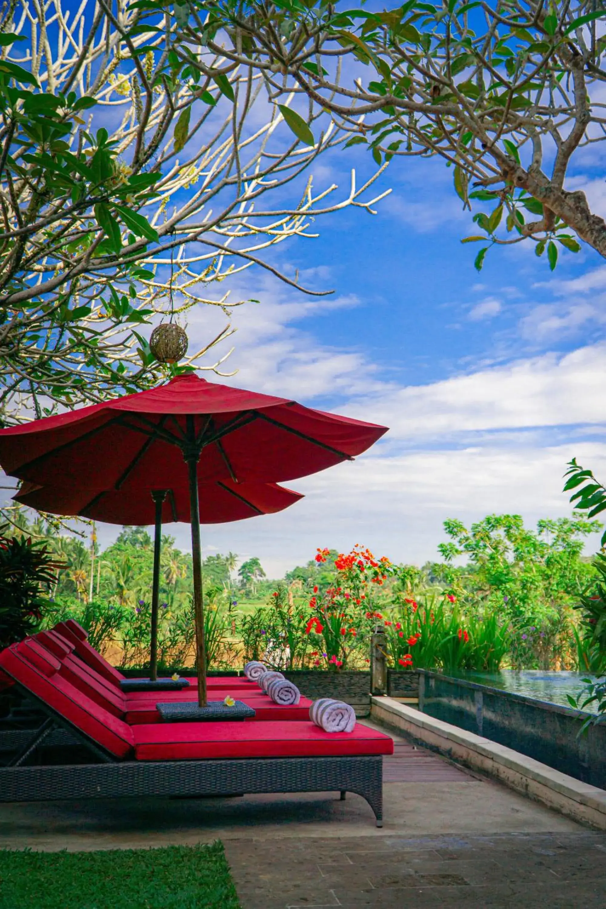 Swimming pool in Uma Stana Villa