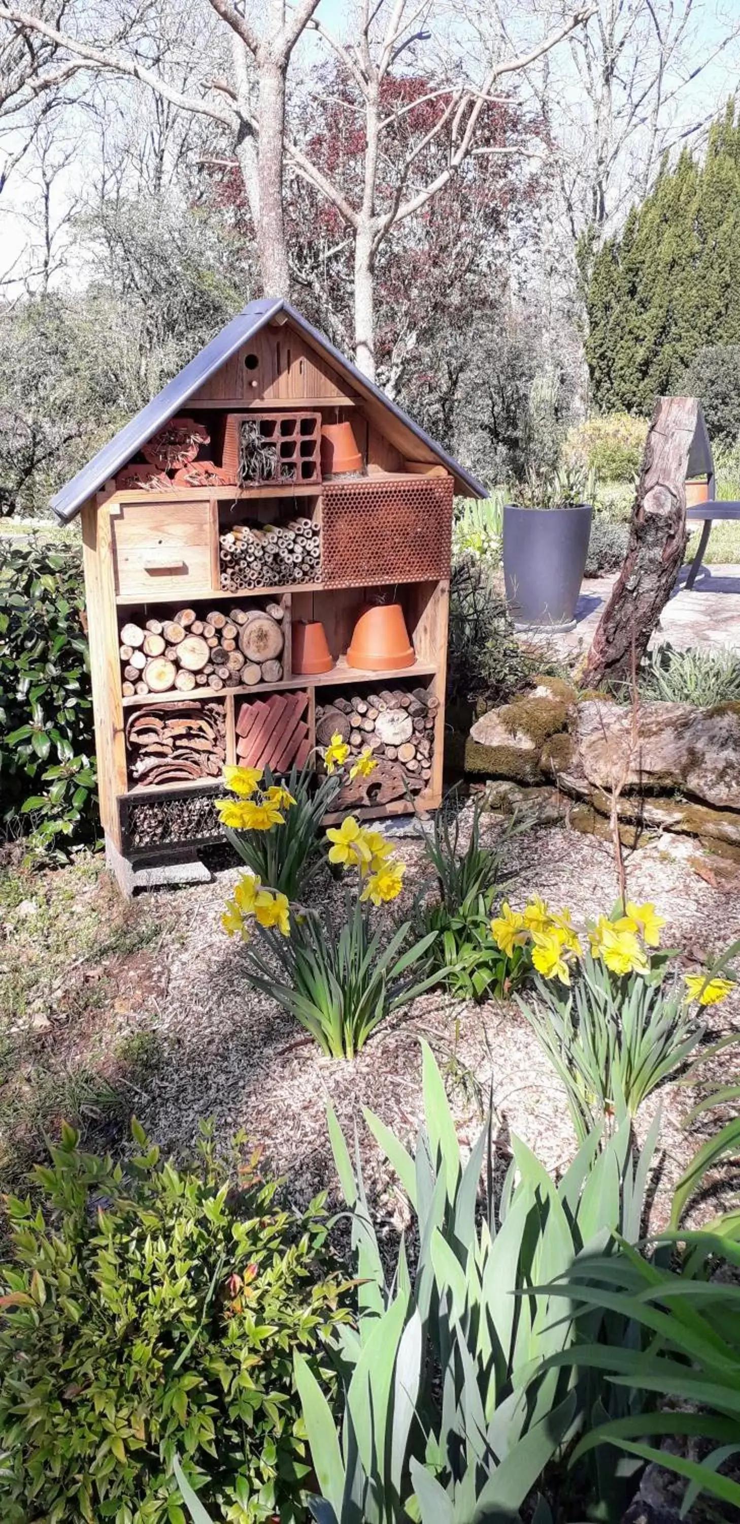 Garden, Property Building in Aux Couleurs d'Esteil