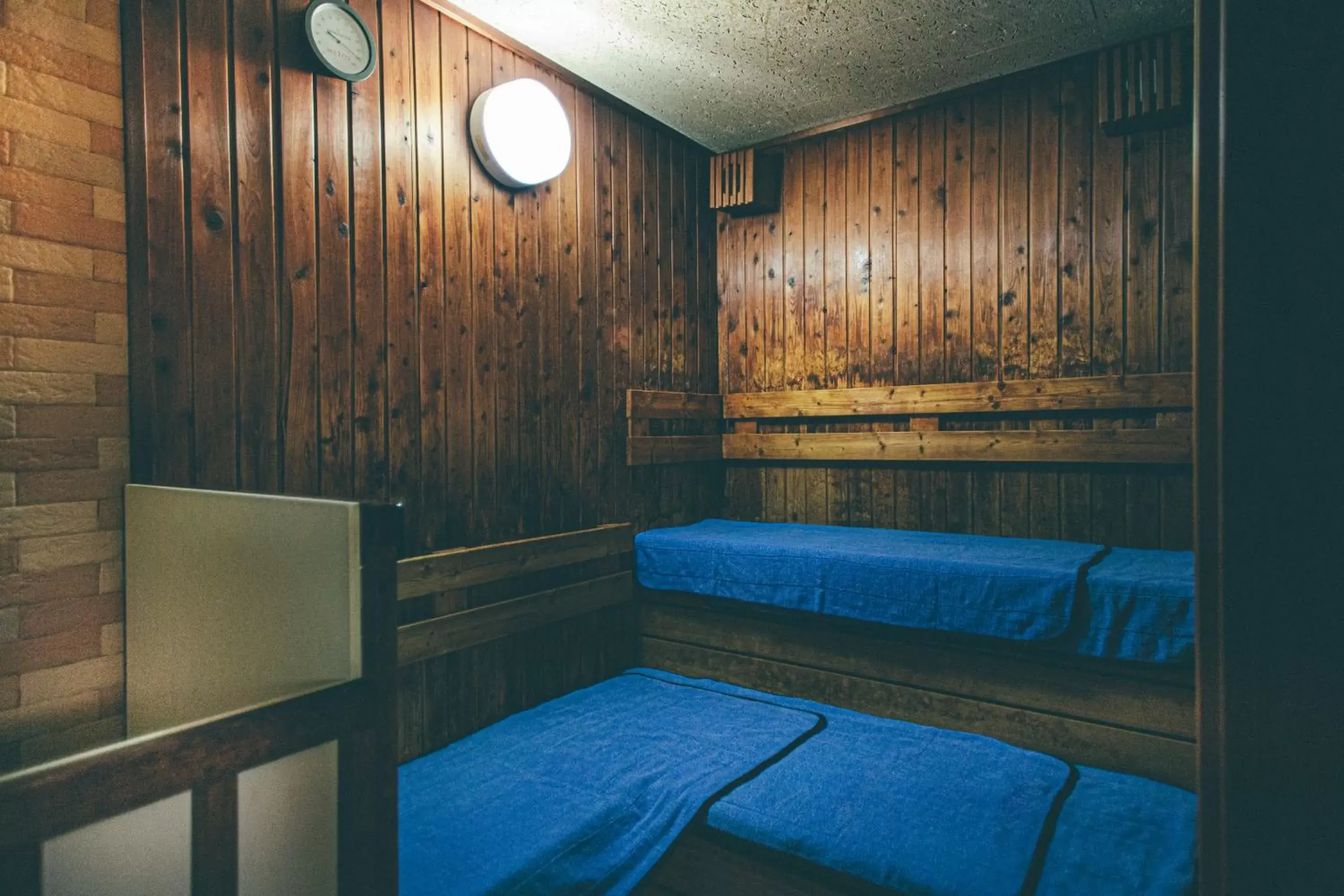 Sauna, Seating Area in Hamilton Hotel Blue