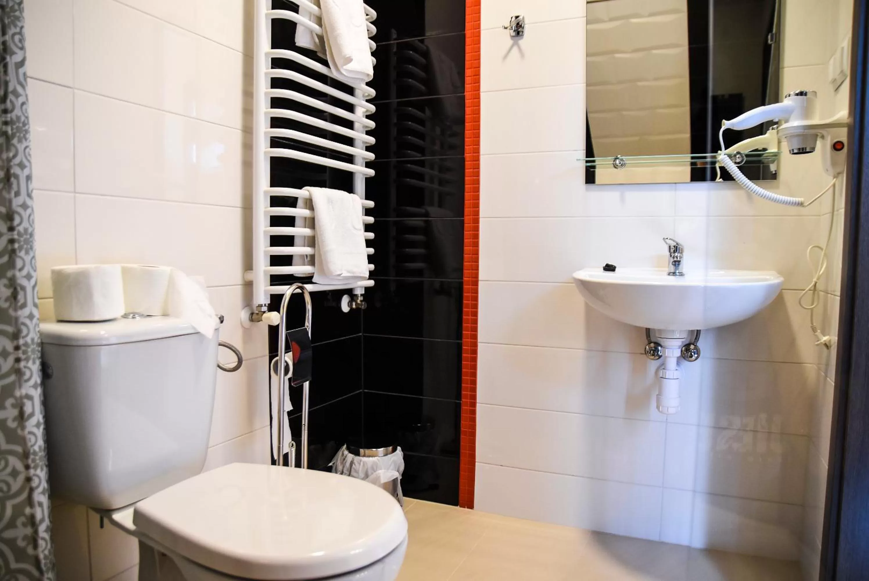 Toilet in Willa Szczepaniakówka