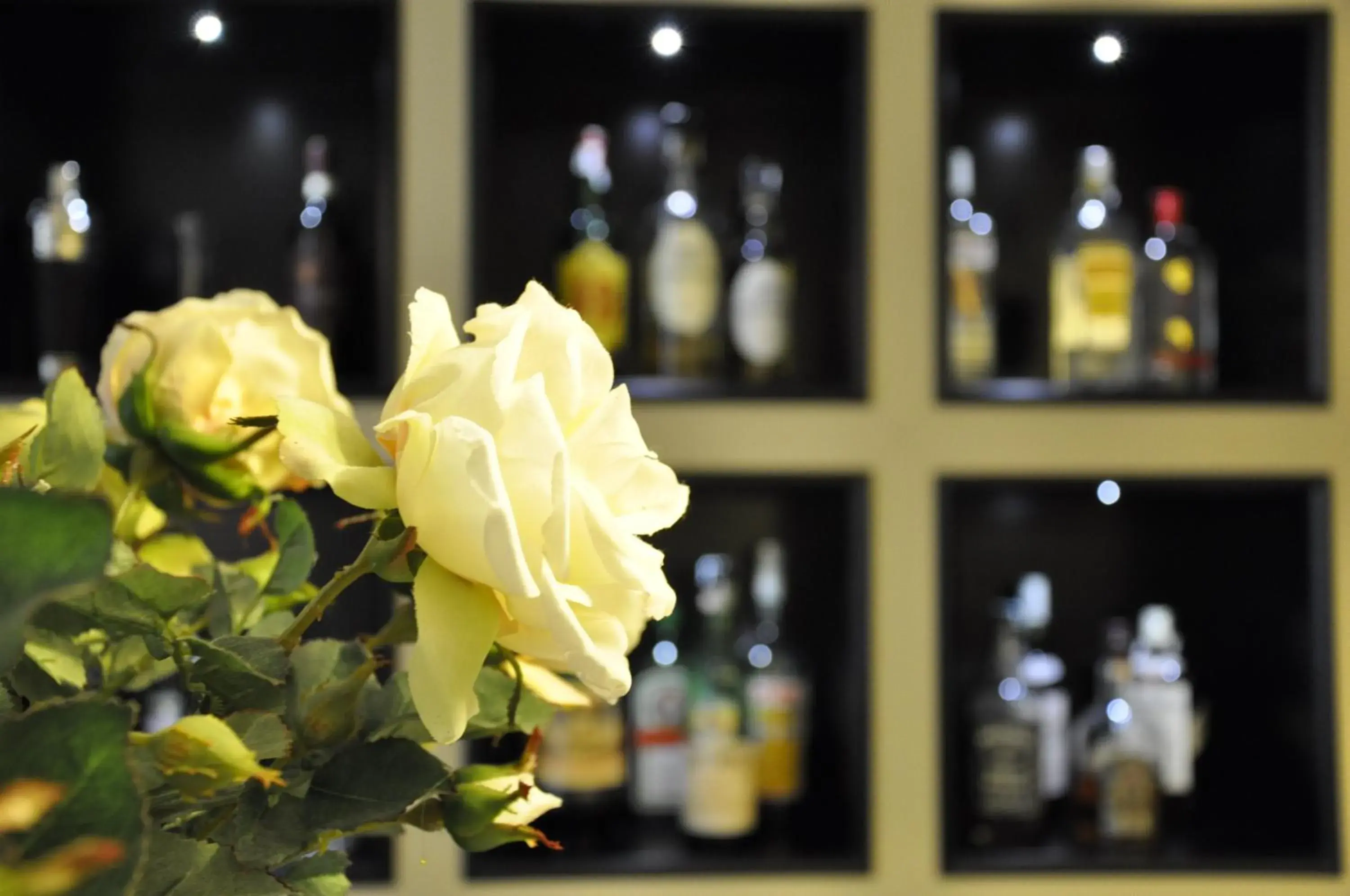 Lounge or bar in Hotel Patria Lounge or bar in Hotel Patria