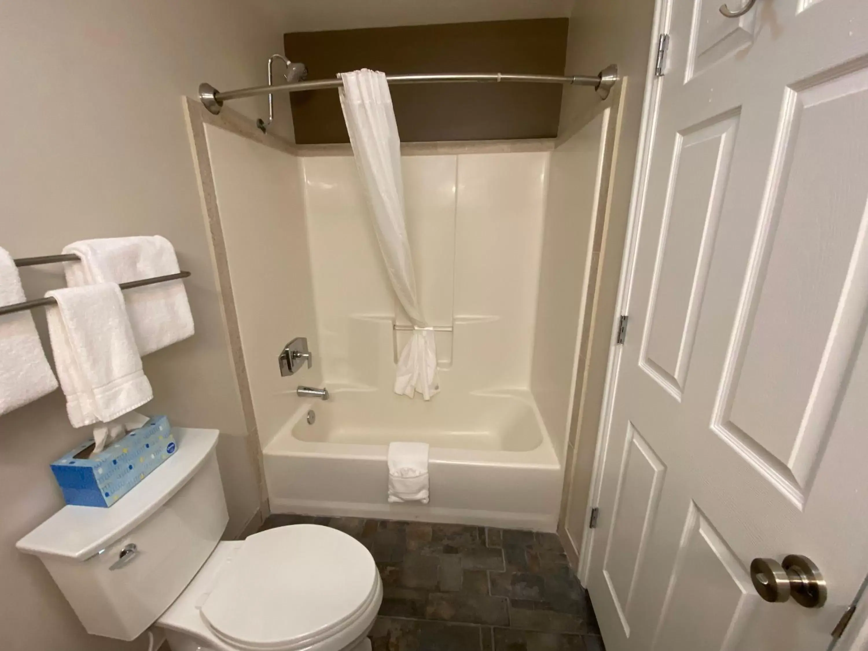 Shower, Bathroom in SkyRidge Inn