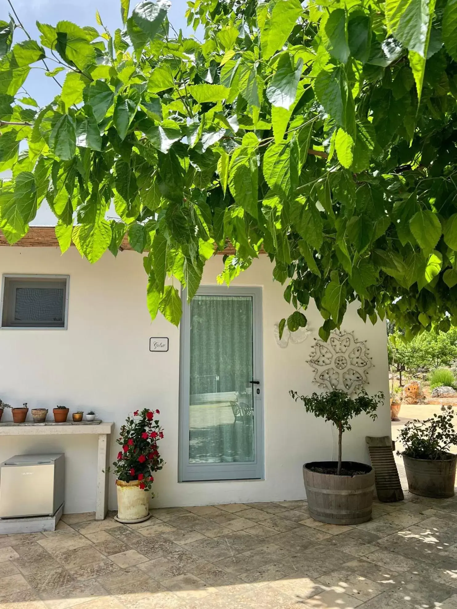 Patio in Trullo Santangelo