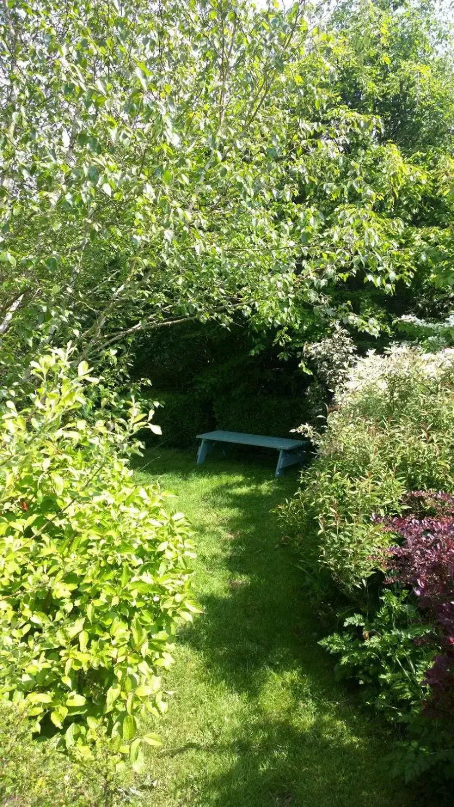 Natural landscape, Garden in Cameley Lodge - Self Catering