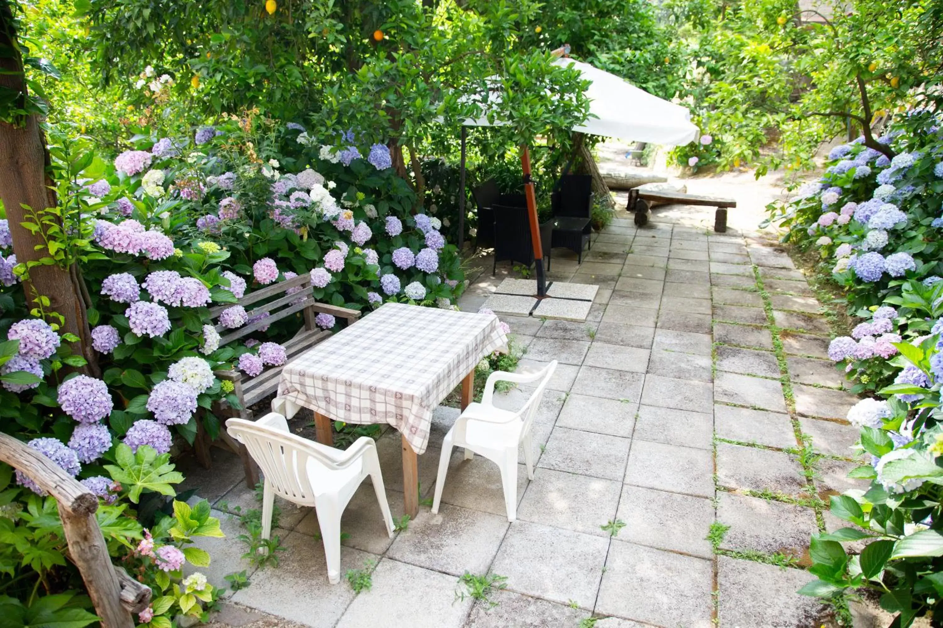 Patio/Outdoor Area in Agriturismo b&b L arancio In fiore