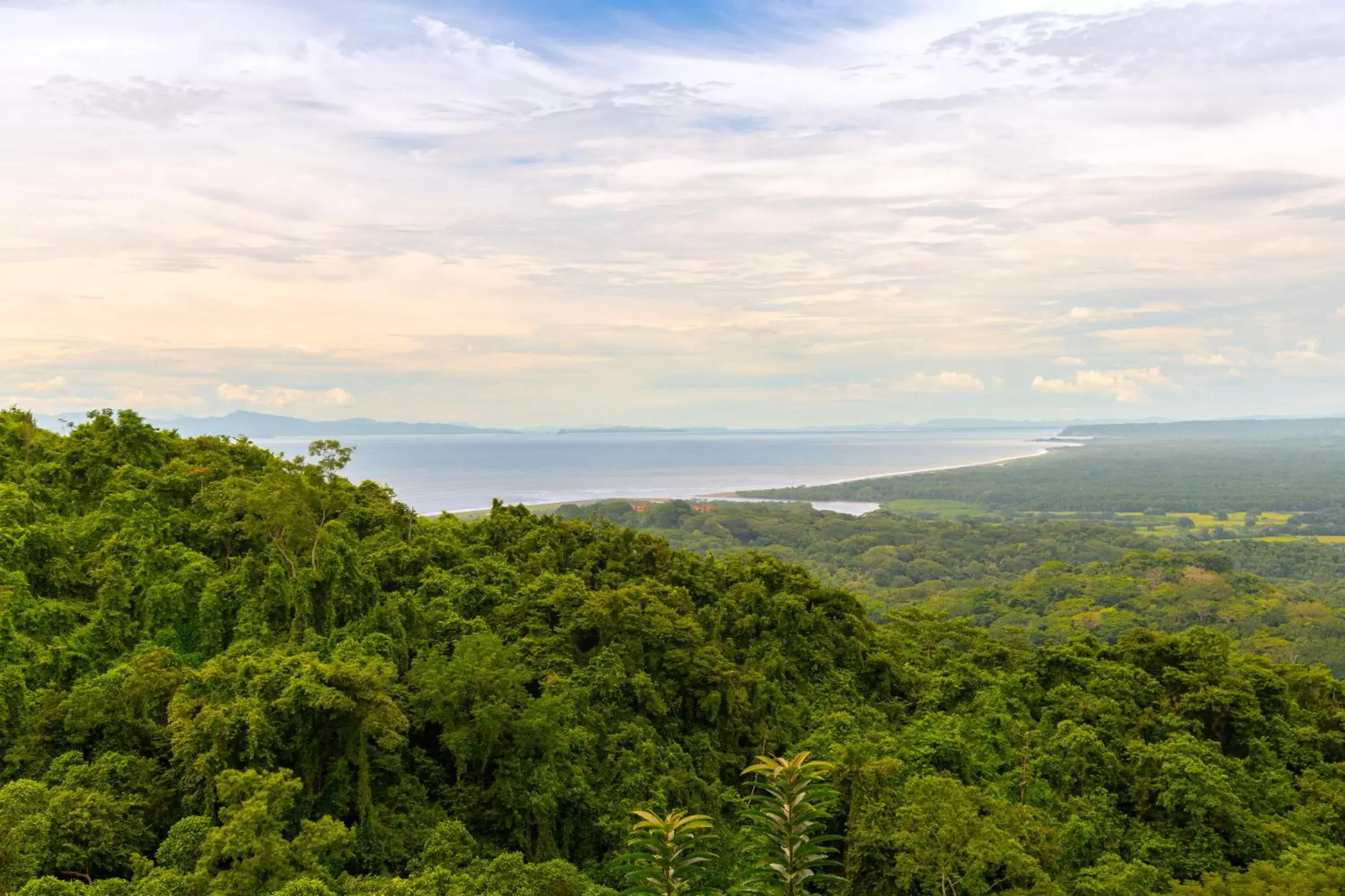 Natural landscape in Villa Lapas Jungle Village