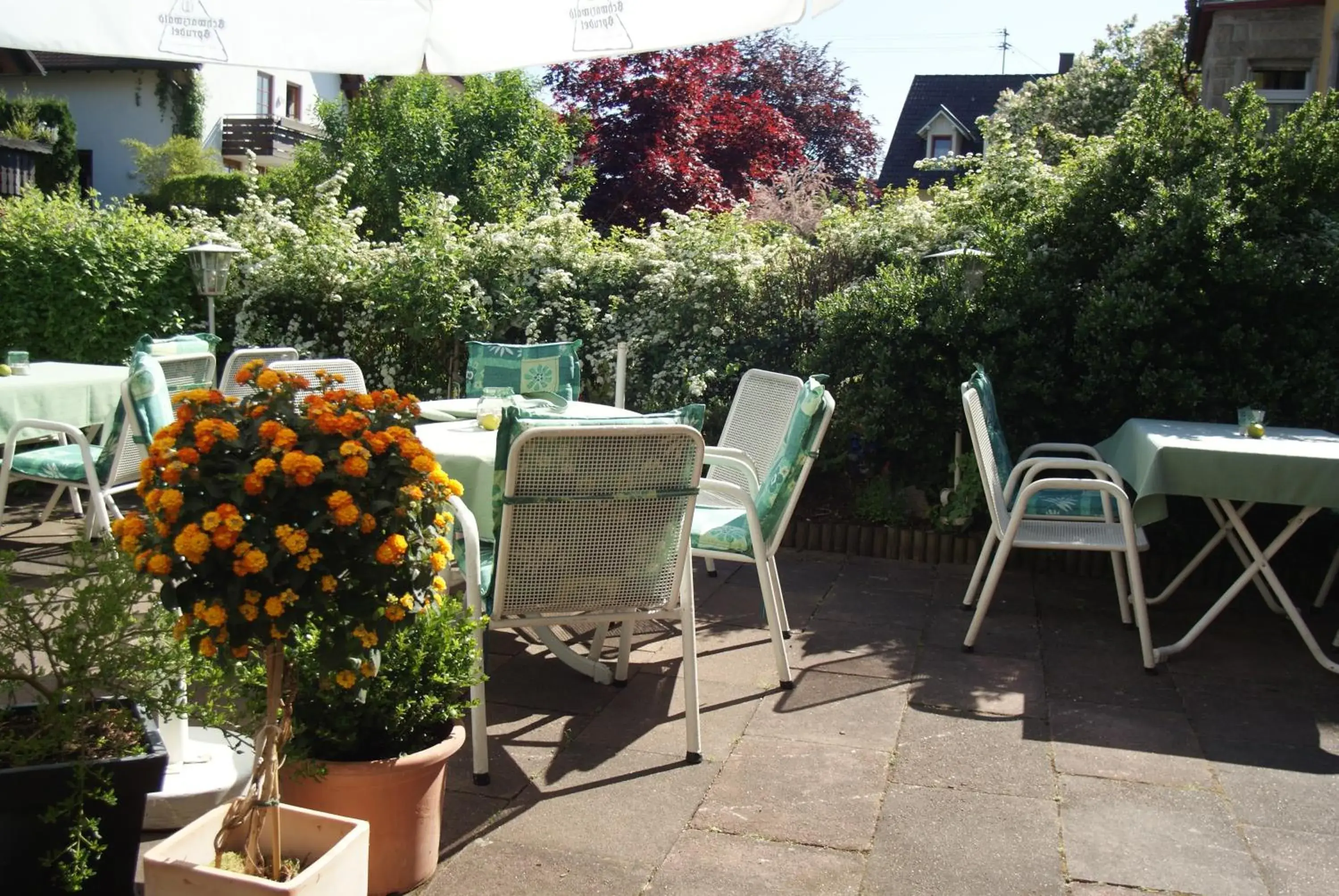 Balcony/Terrace in Hotel Altenberg