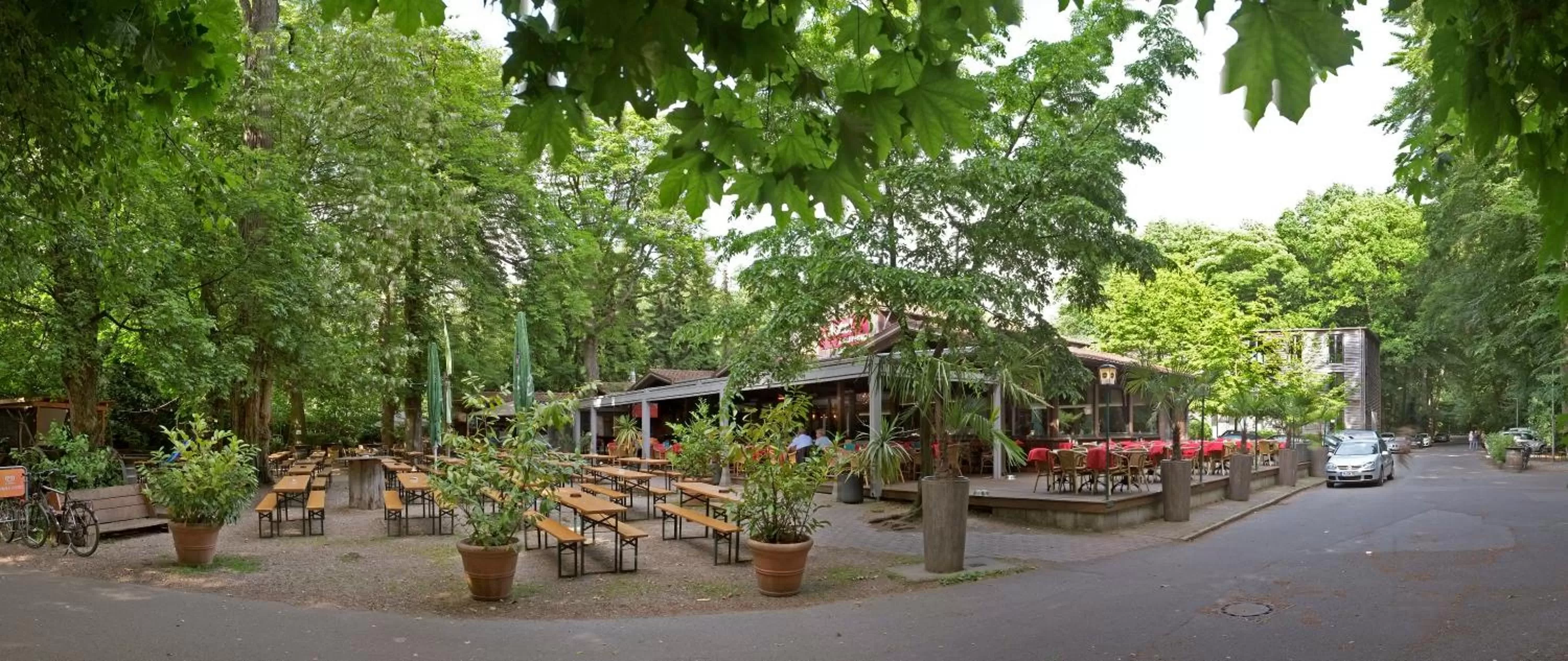 Property building in Bischofshol