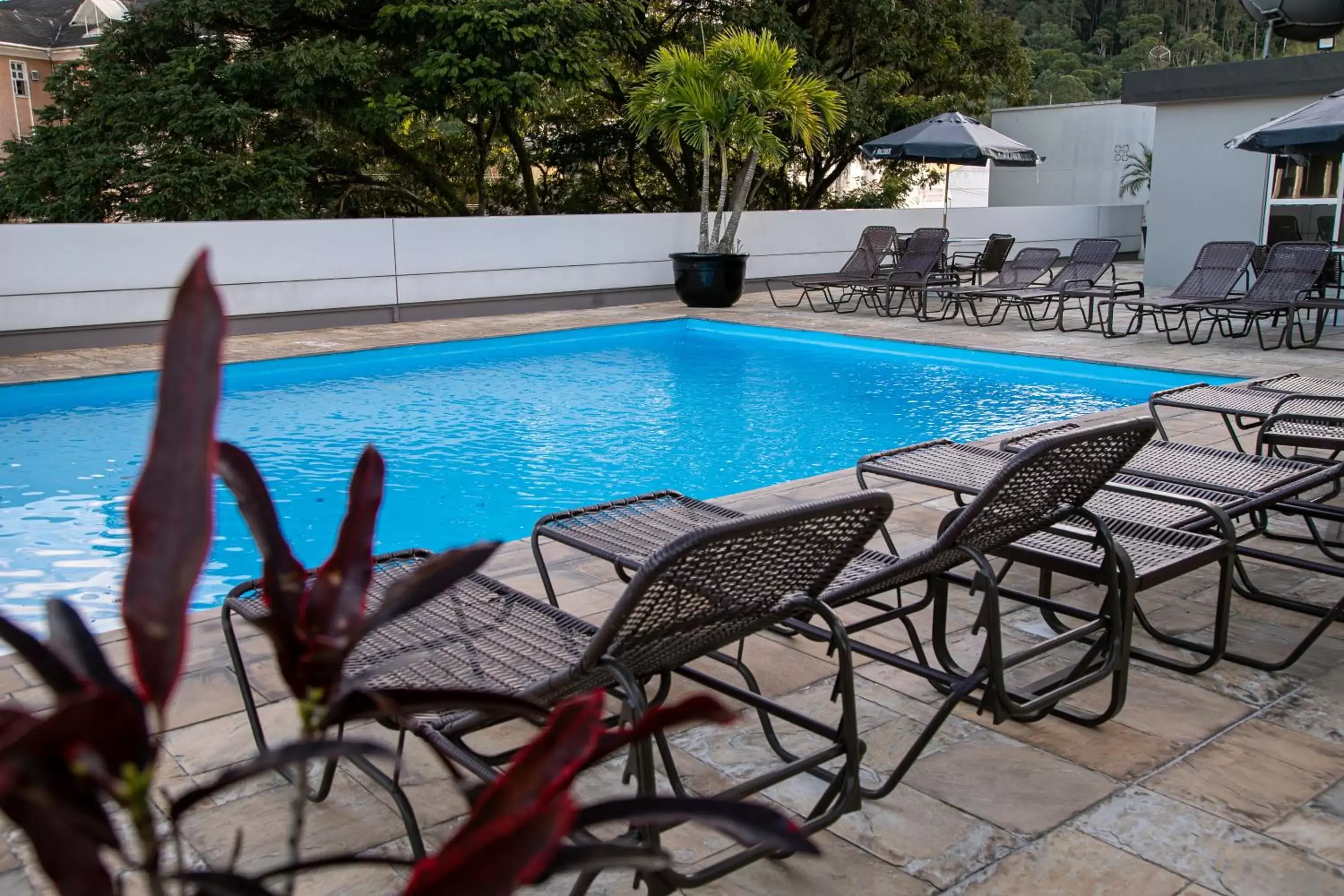 Swimming pool in Plaza Blumenau Hotel Swimming pool in Plaza Blumenau Hotel