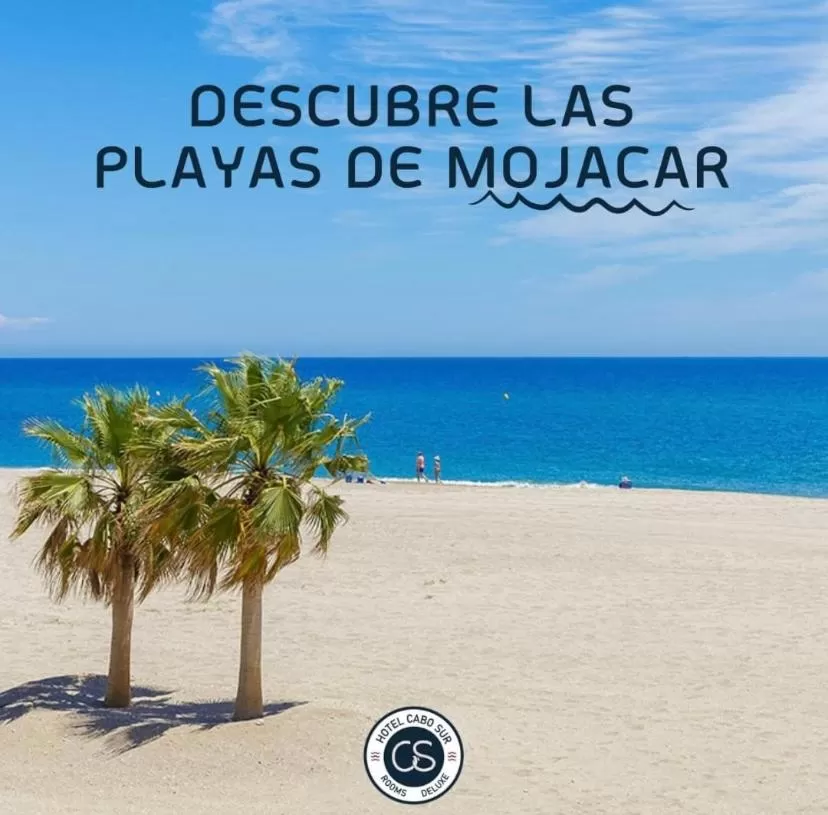 Beach in HOTEL BOUTIQUE CABO SUR