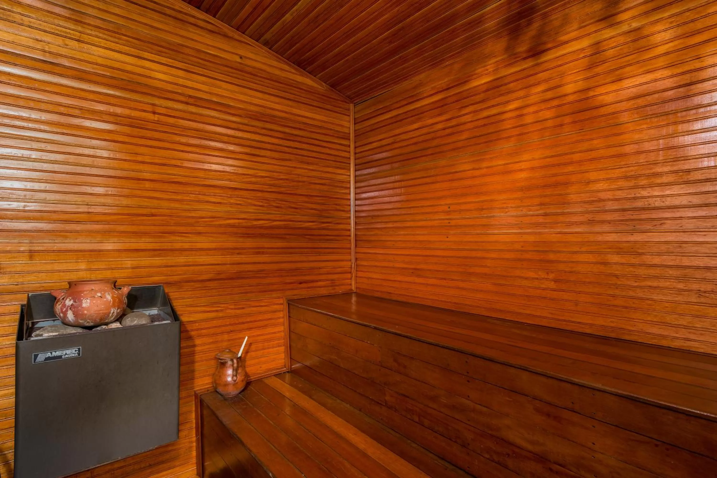 Sauna in Hotel Dann Monasterio