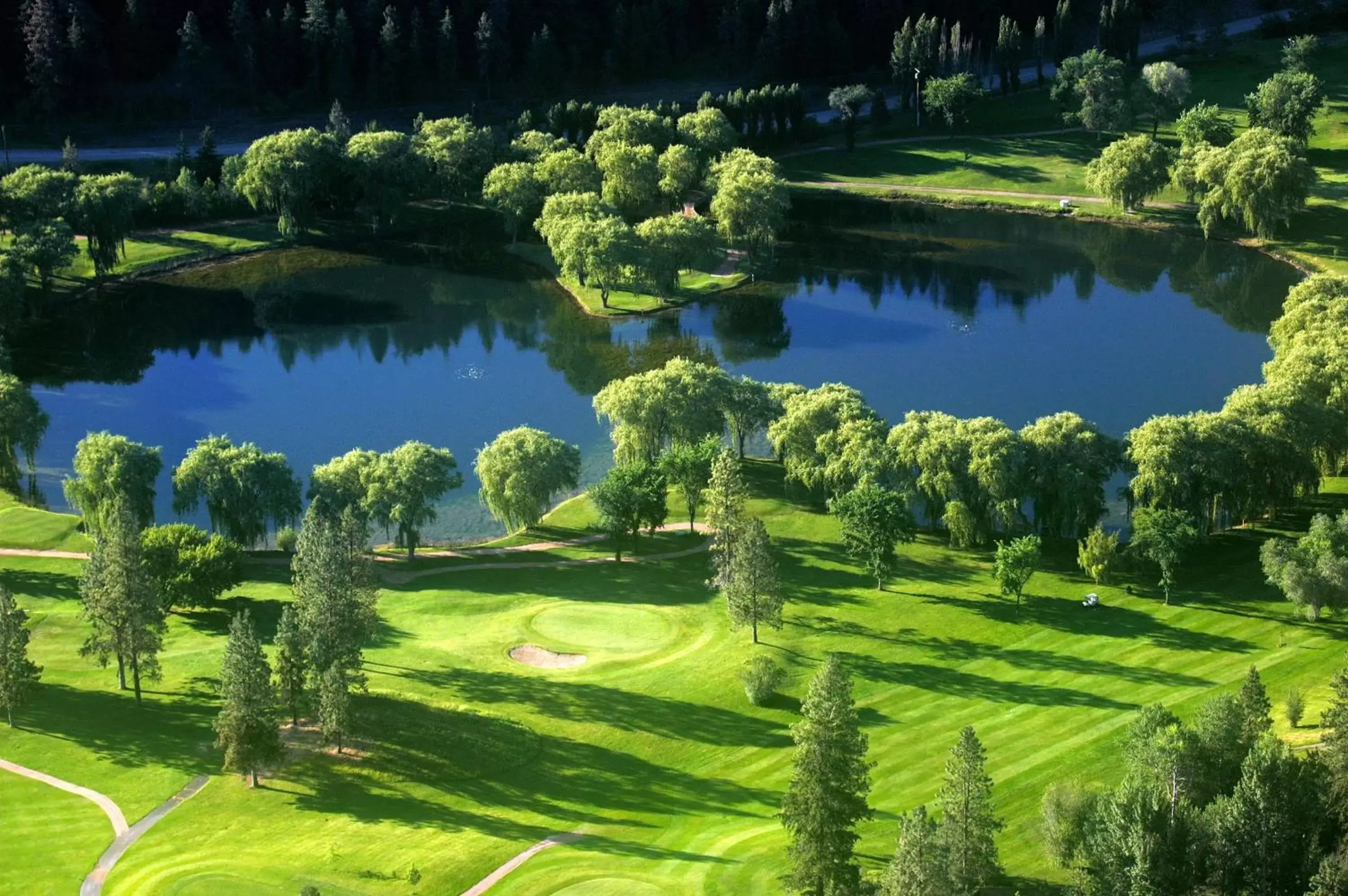 Natural landscape in St. Andrews By The Lake