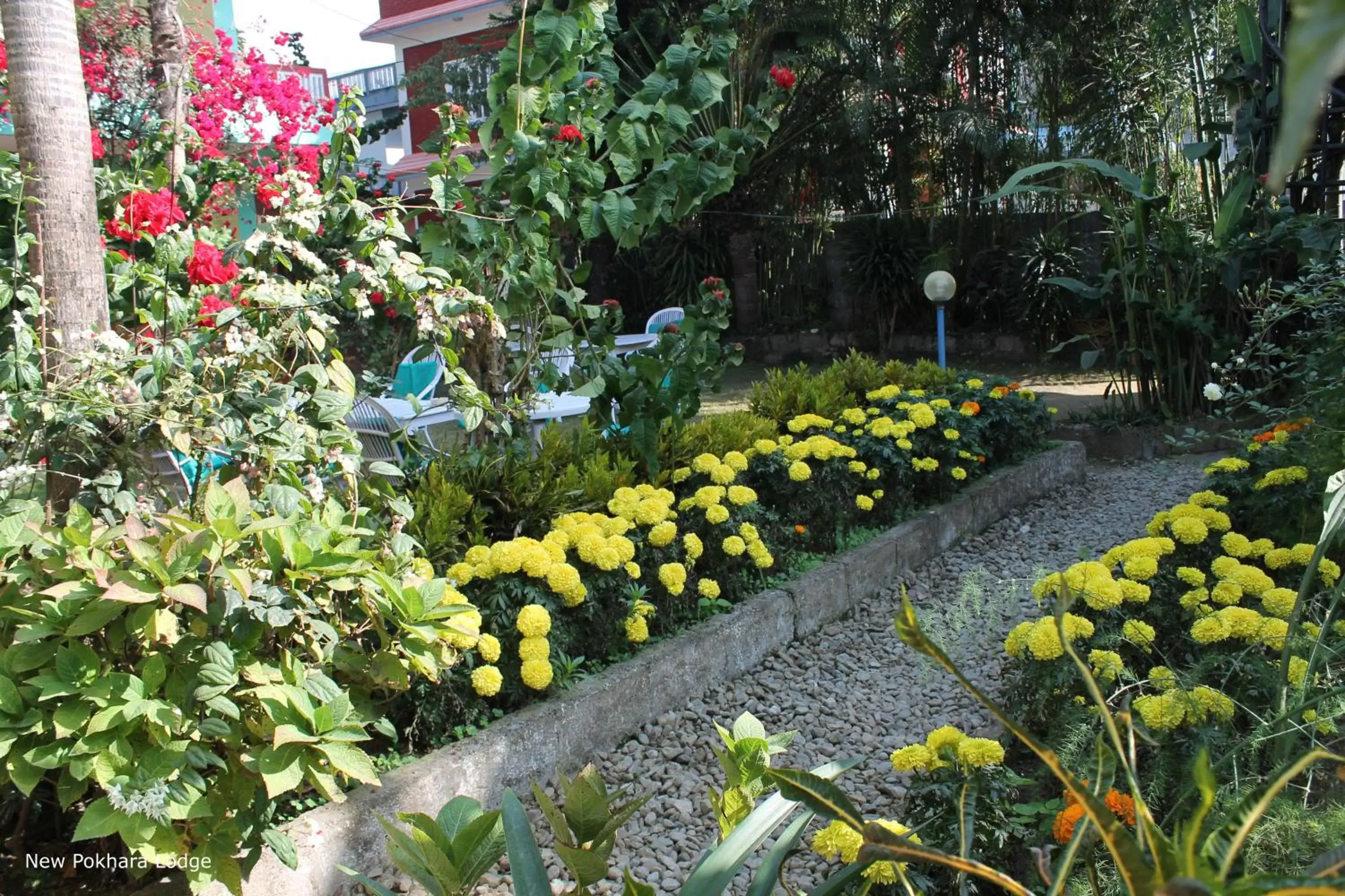 Patio, Garden in New Pokhara Lodge - Lakeside, Pokhara Nepal