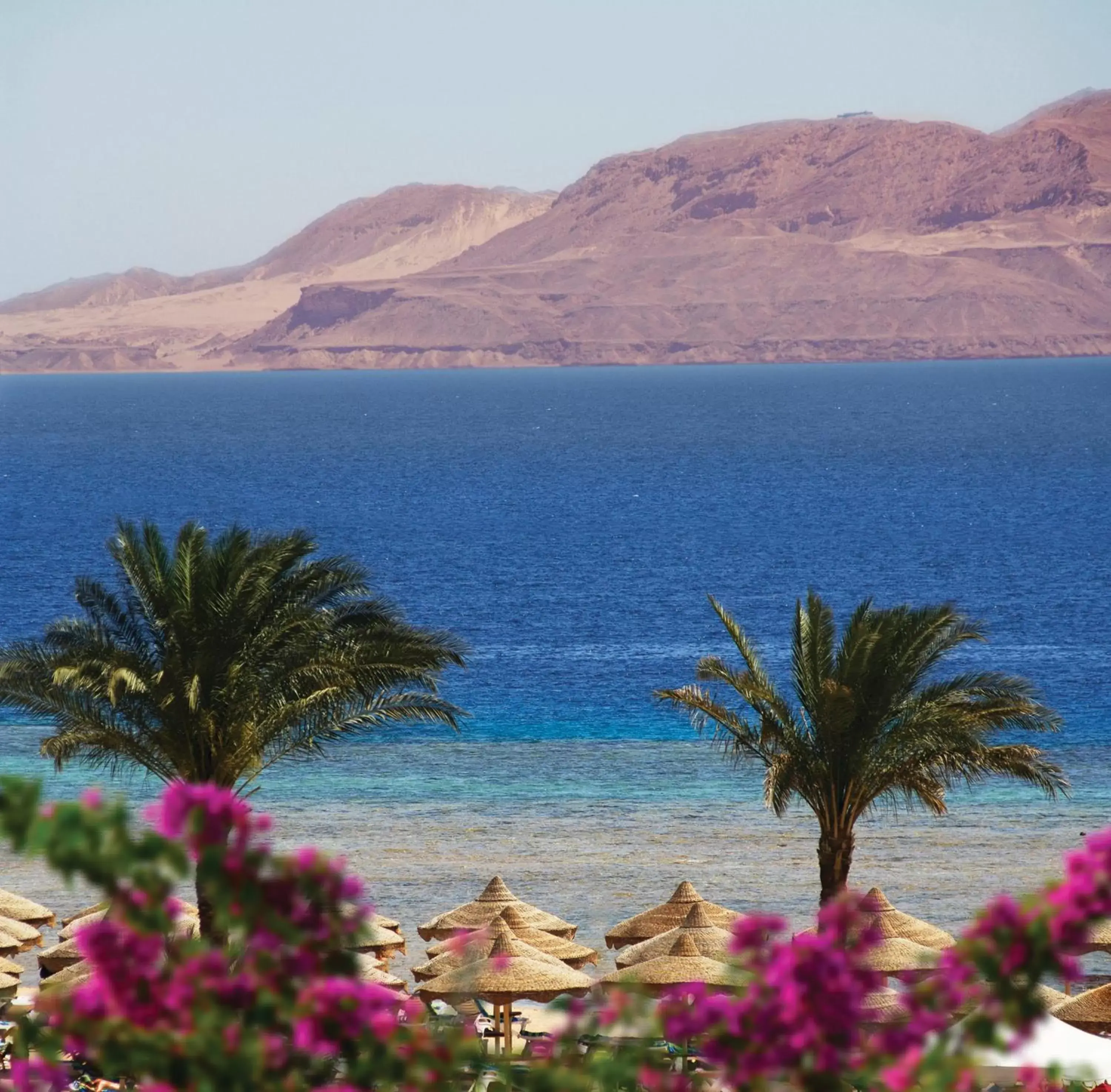 Beach, Natural Landscape in Baron Resort Sharm El Sheikh
