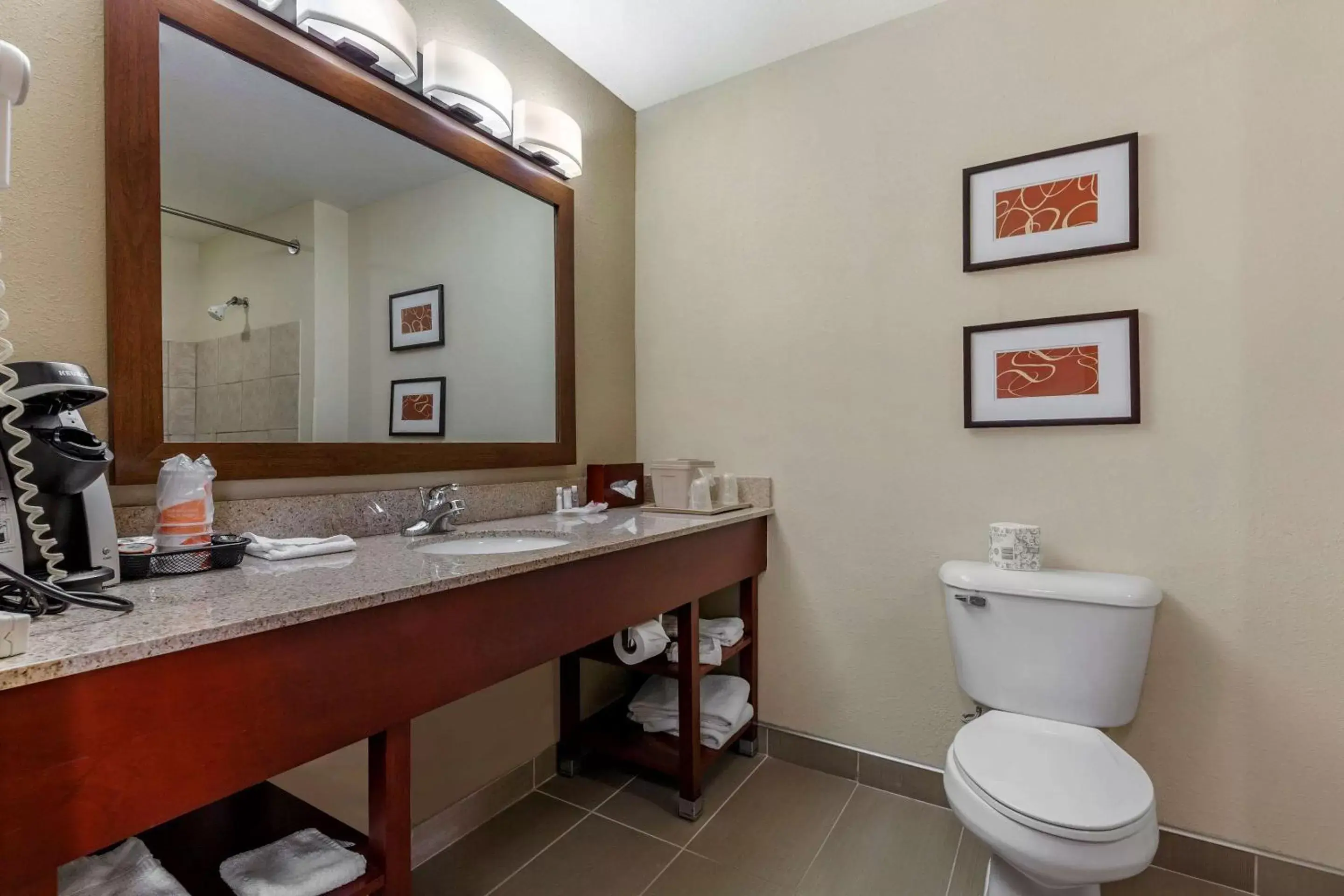 Photo of the whole room, Bathroom in Comfort Suites Delavan - Lake Geneva Area