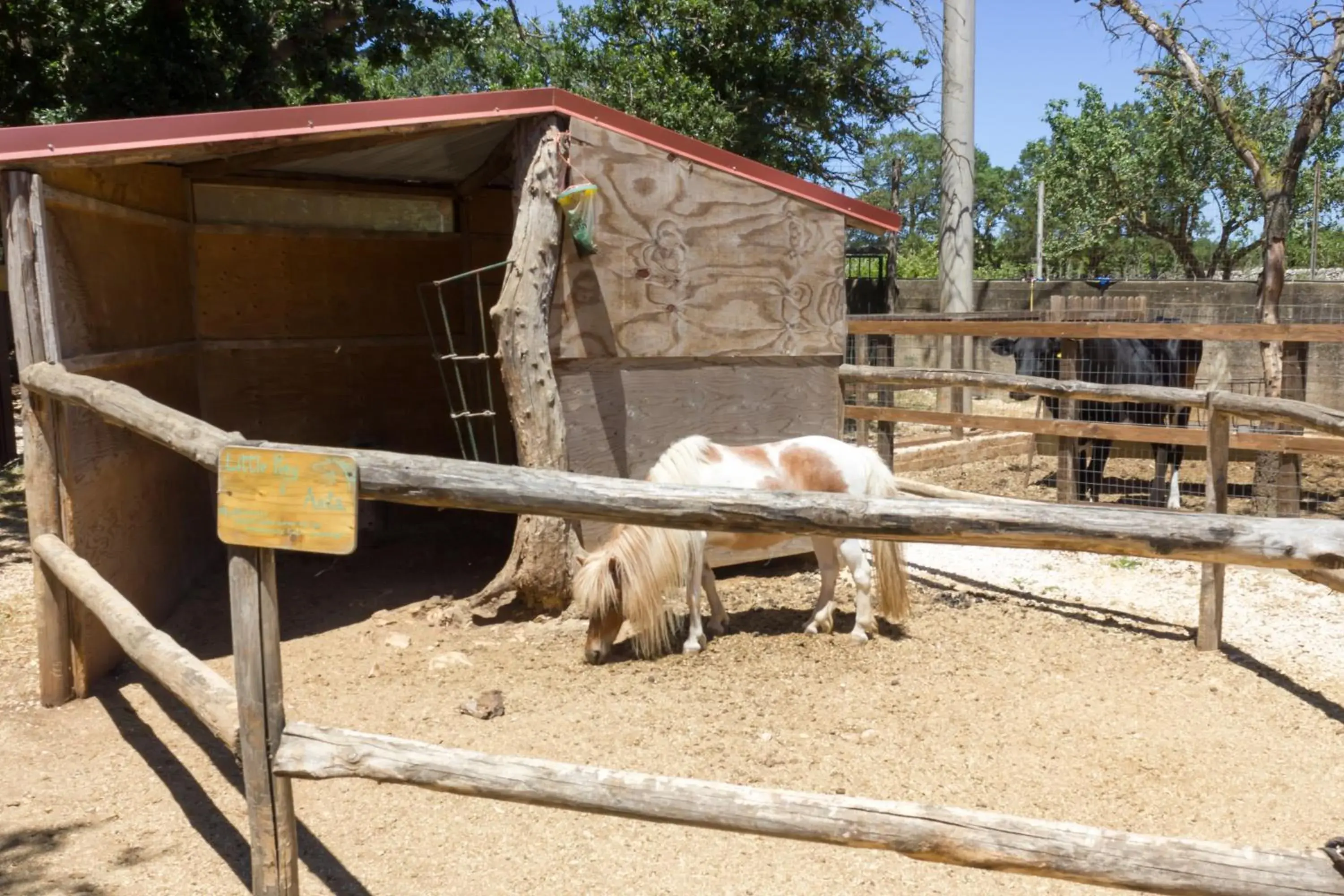 Property building, Other Animals in Agriturismo Fasano