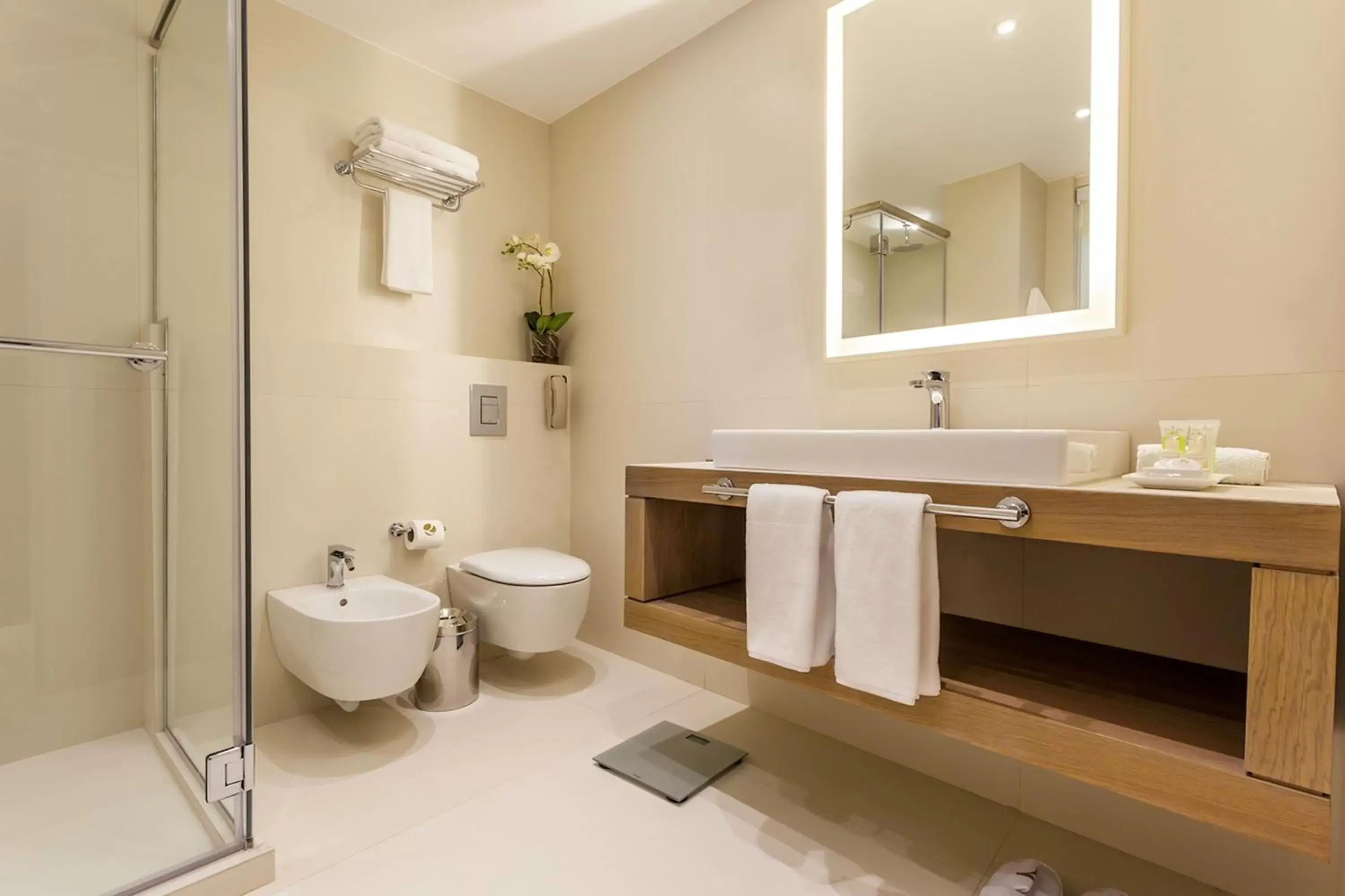 Toilet, Bathroom in AlQasr Metropole Hotel