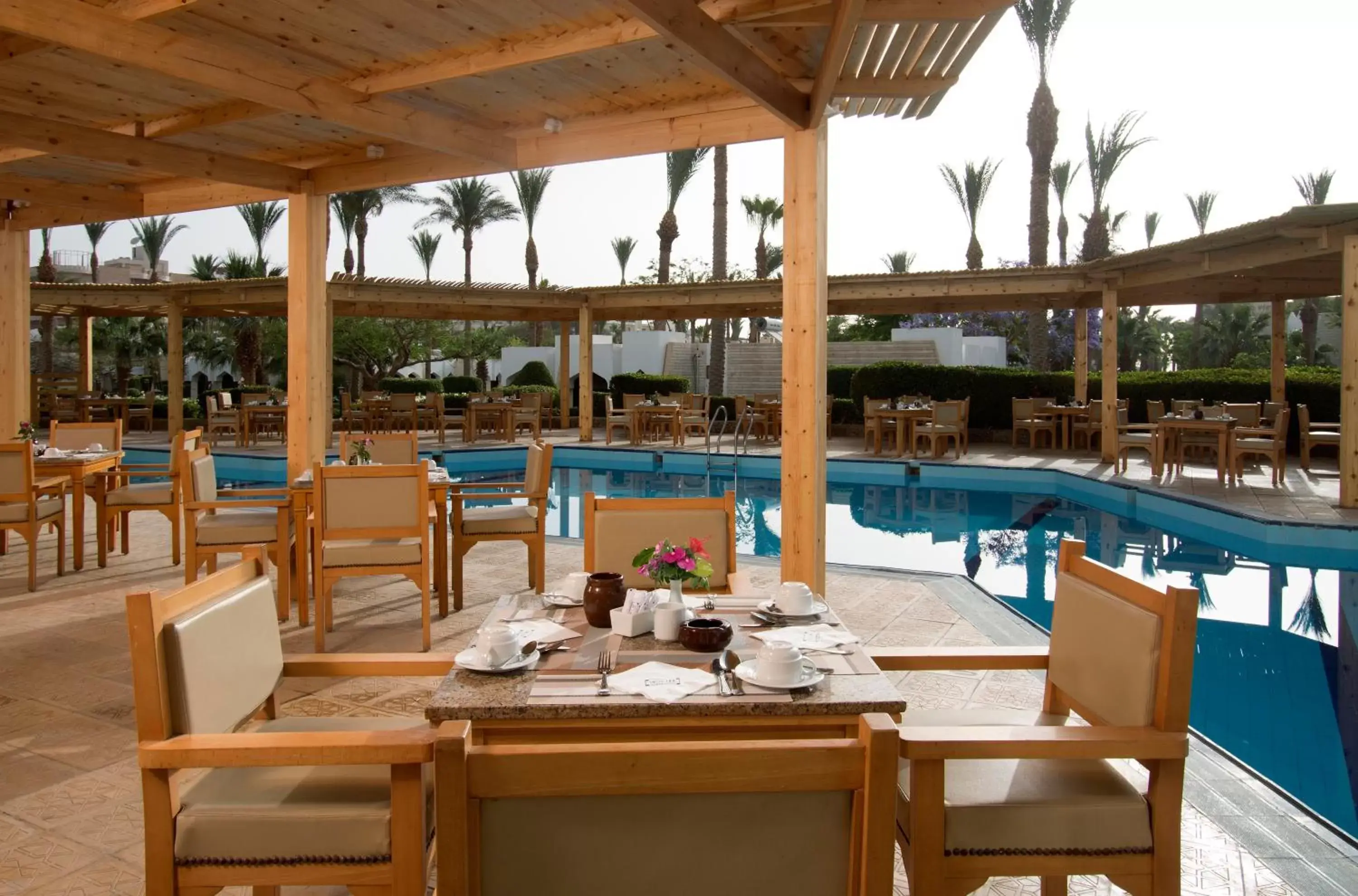 Restaurant/Places to Eat in ZYA Regina Resort and Aqua Park Hurghada