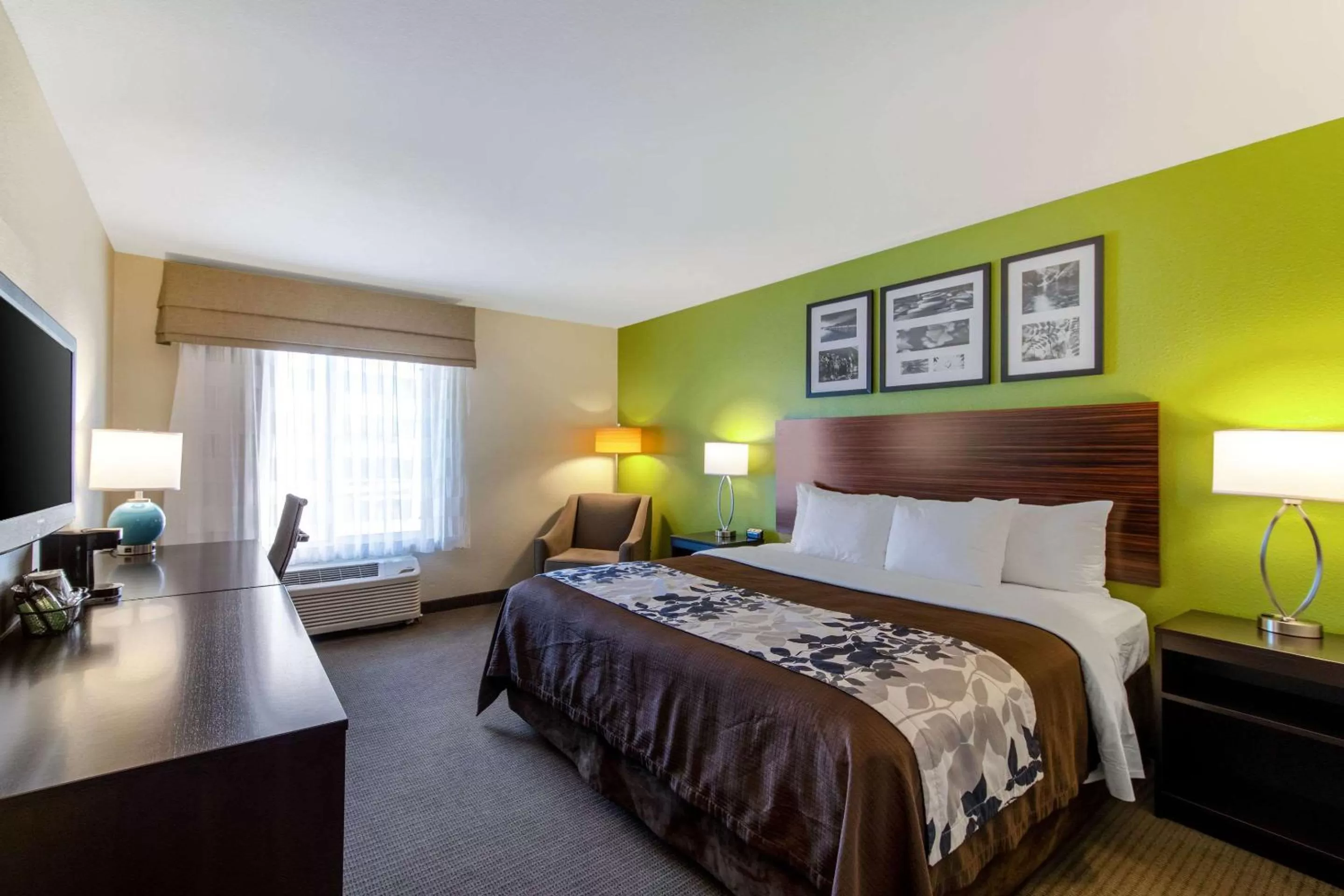King Room - Non-Smoking in Sleep Inn & Suites Near Fort Cavazos
