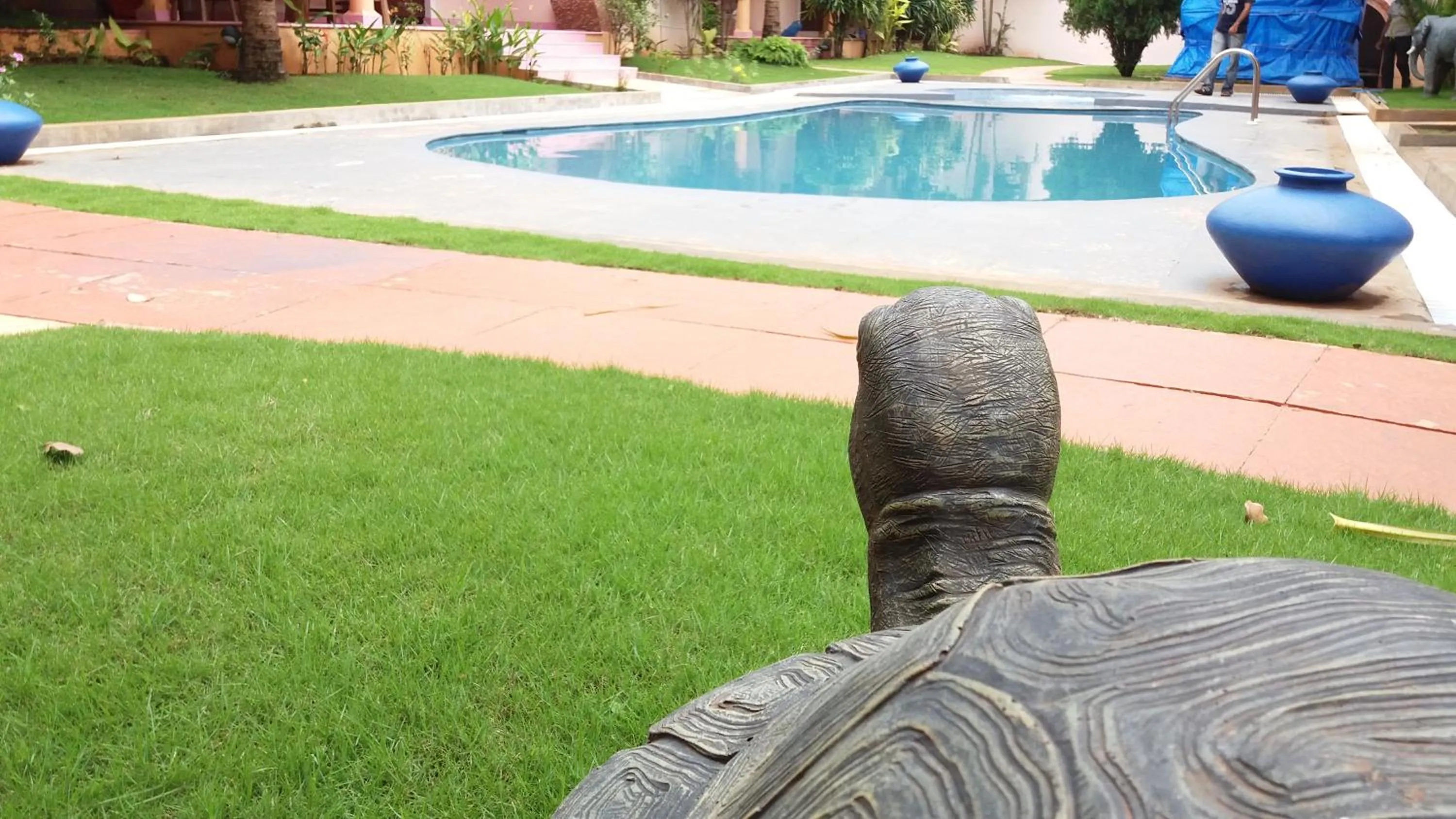 Swimming Pool in Amour Resort