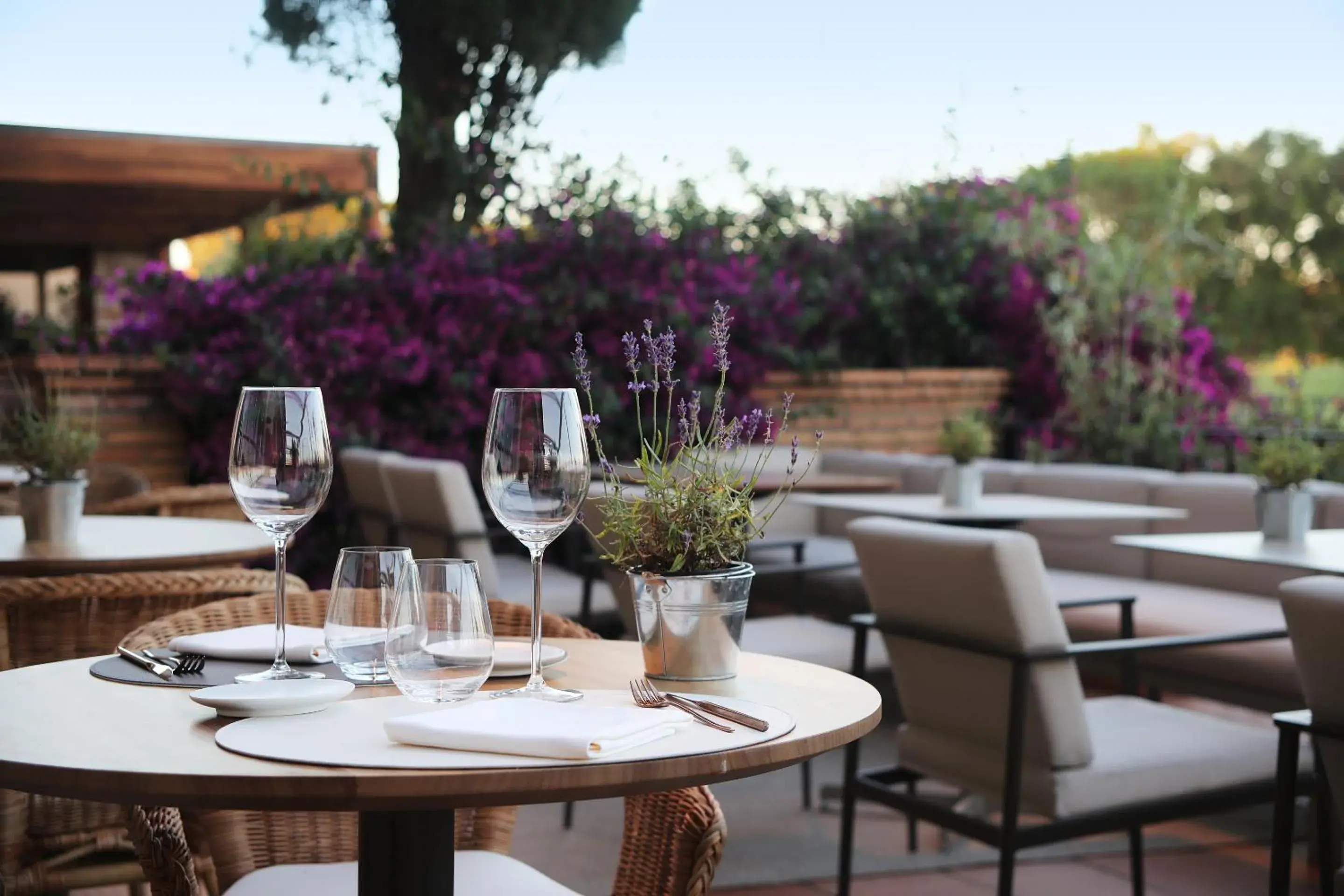 Lounge or bar, Restaurant/Places to Eat in Hotel Peralada Wine Spa & Golf