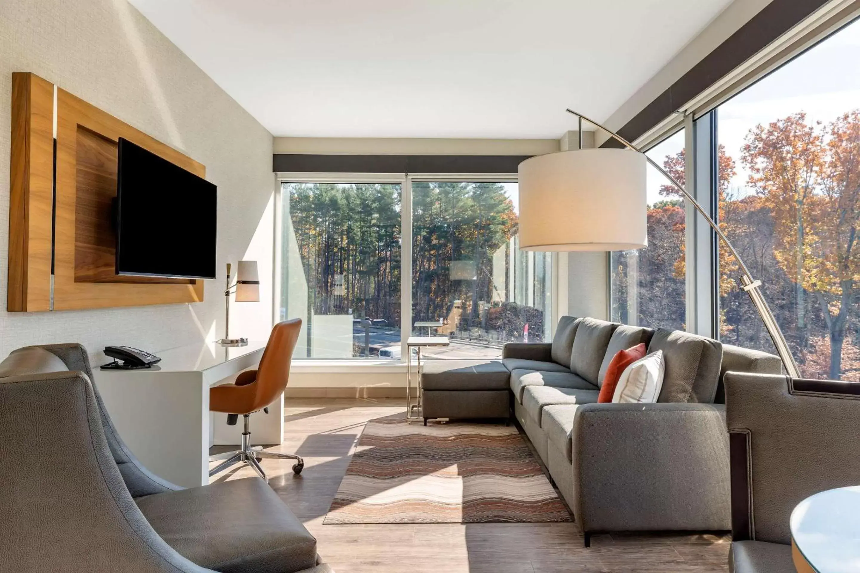 TV and multimedia, Seating Area in Cambria Hotel Manchester South Windsor