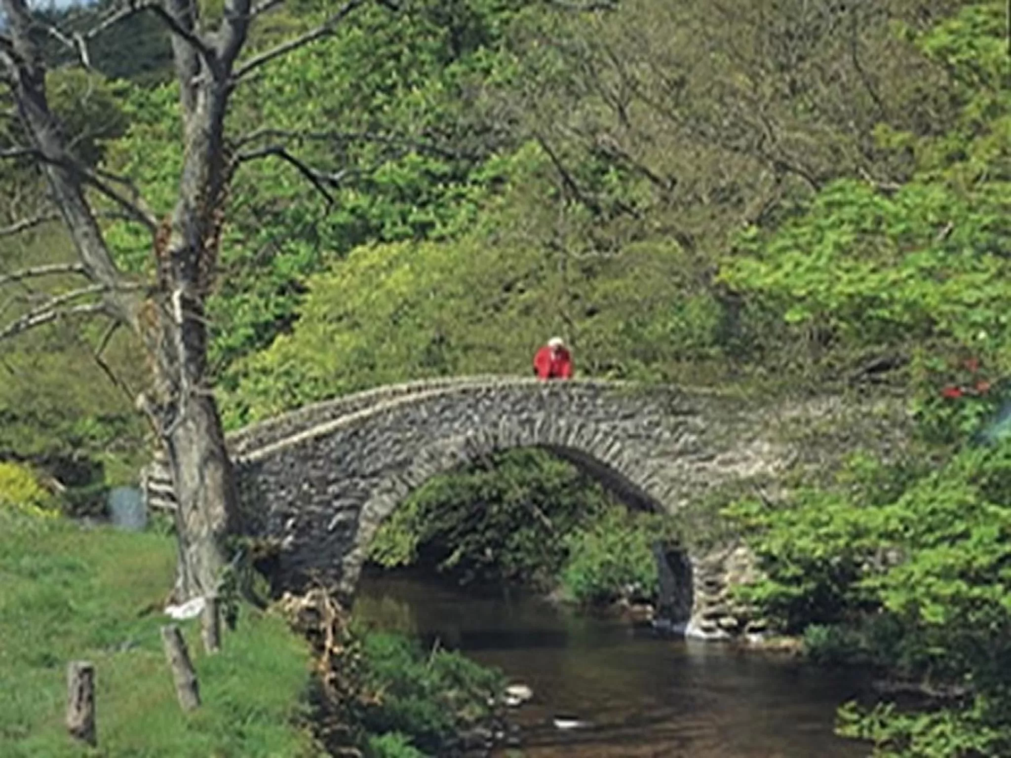 Natural landscape in Smiths Hotel