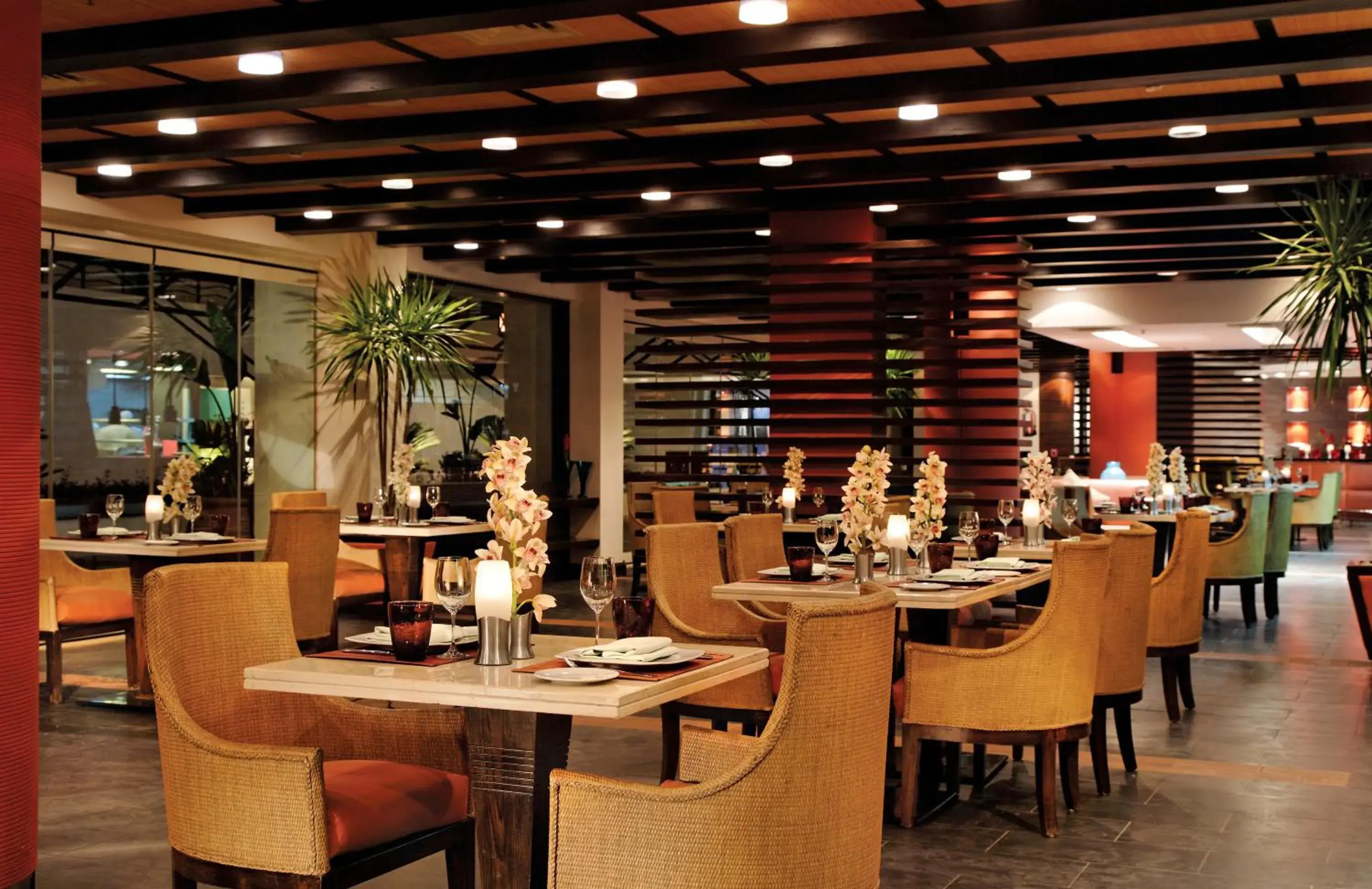 Restaurant/Places to Eat in Grand Rotana Resort & Spa