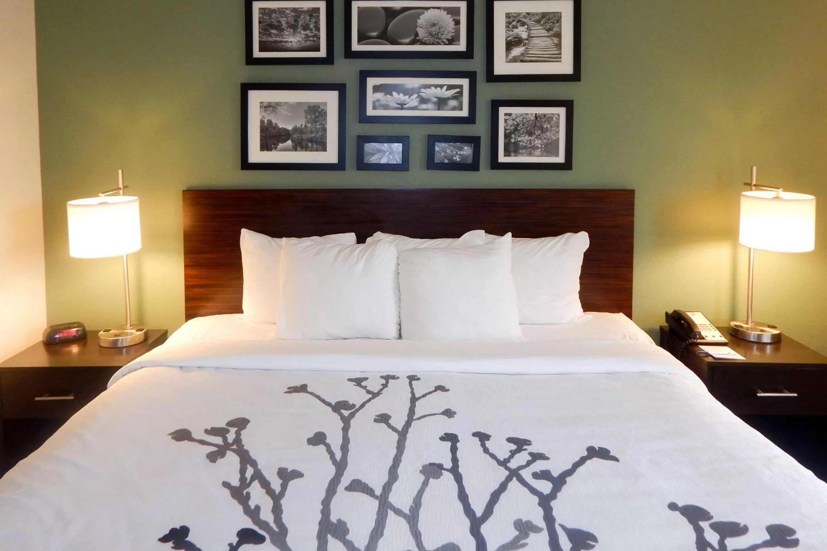 Photo of the whole room, Bed in Sleep Inn & Suites Evergreen I-65